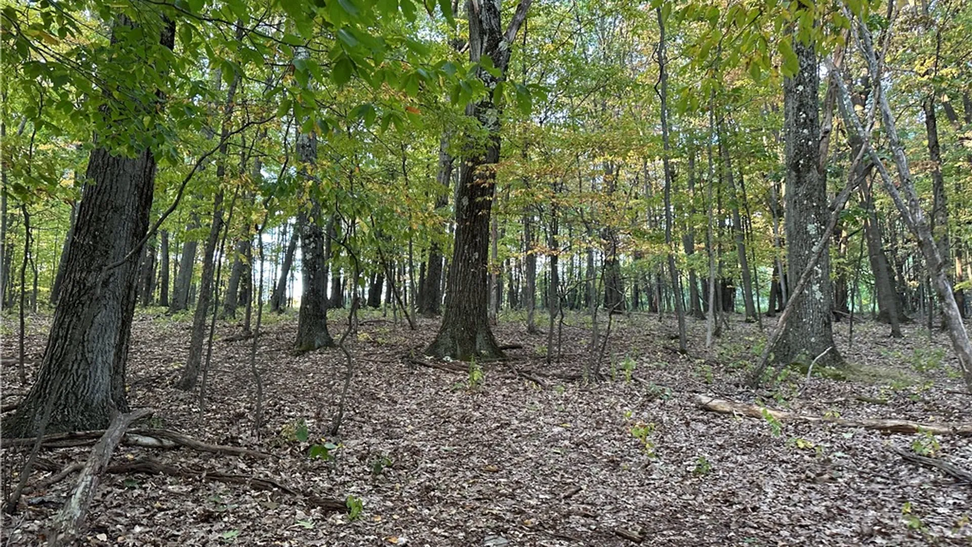 Property at VL Linkletter Road, Almond, NY 14807 6