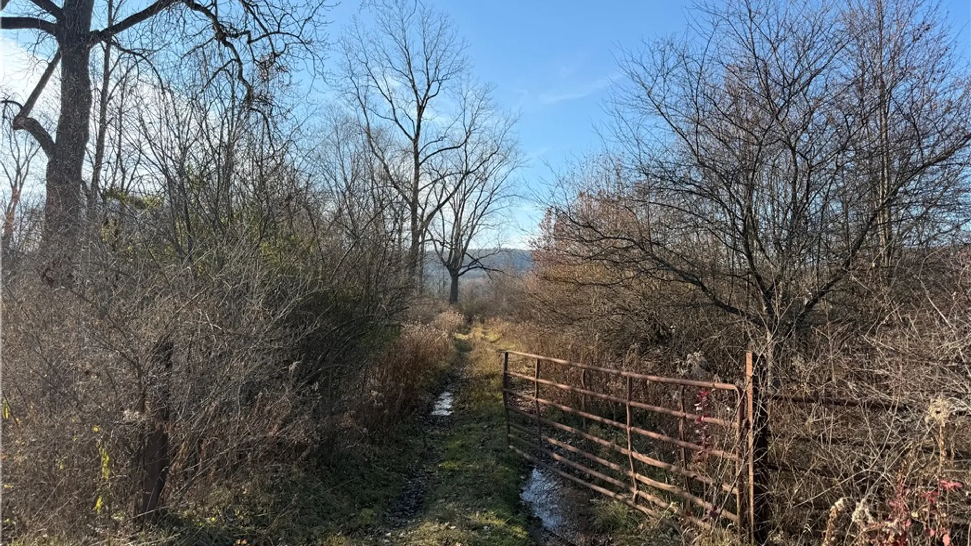 Property at 0 Fieldview Drive Drive, Erwin, NY 14870 4