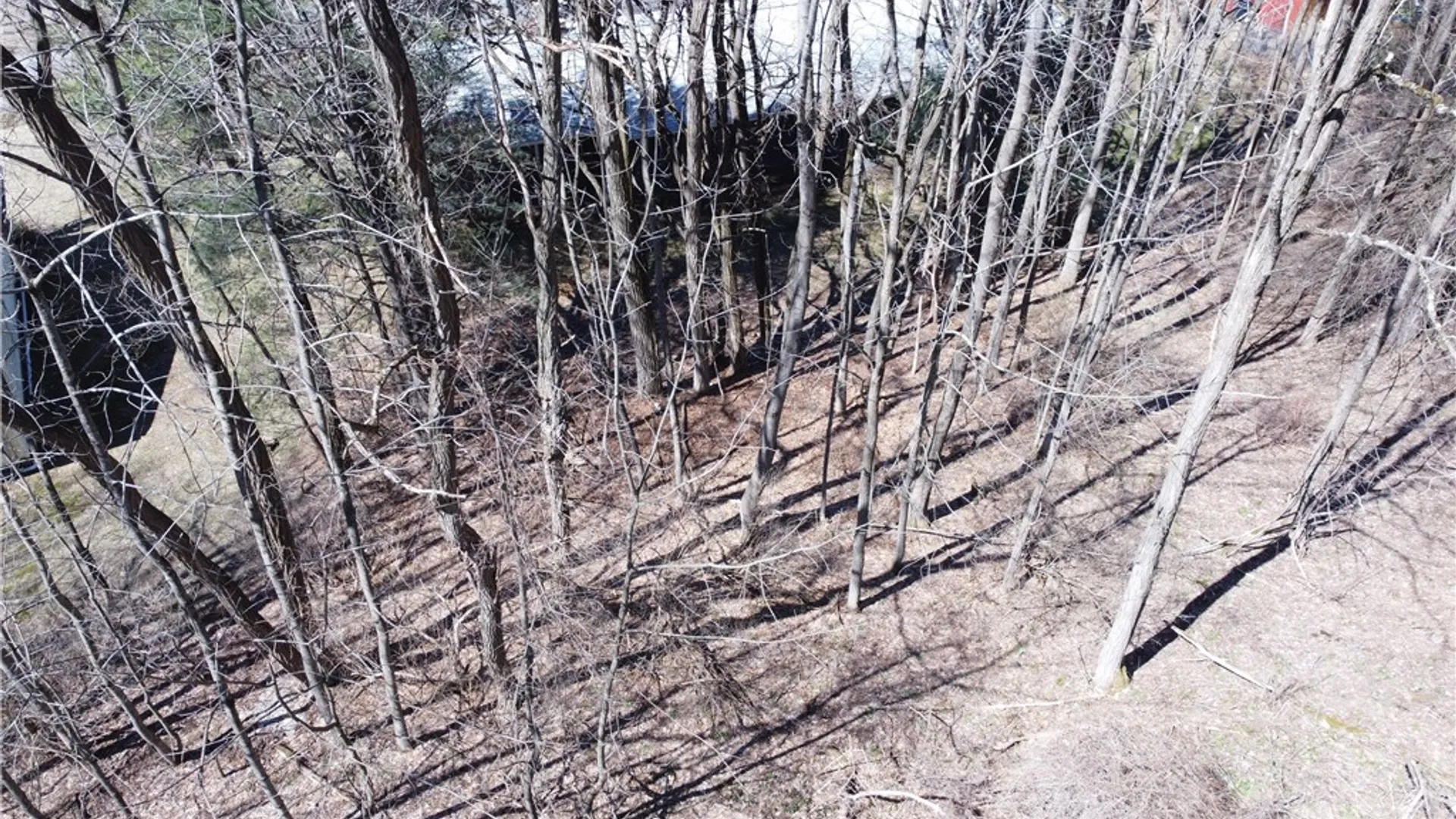 Property at 0 County Highway 31, Middlefield, NY 13326 10