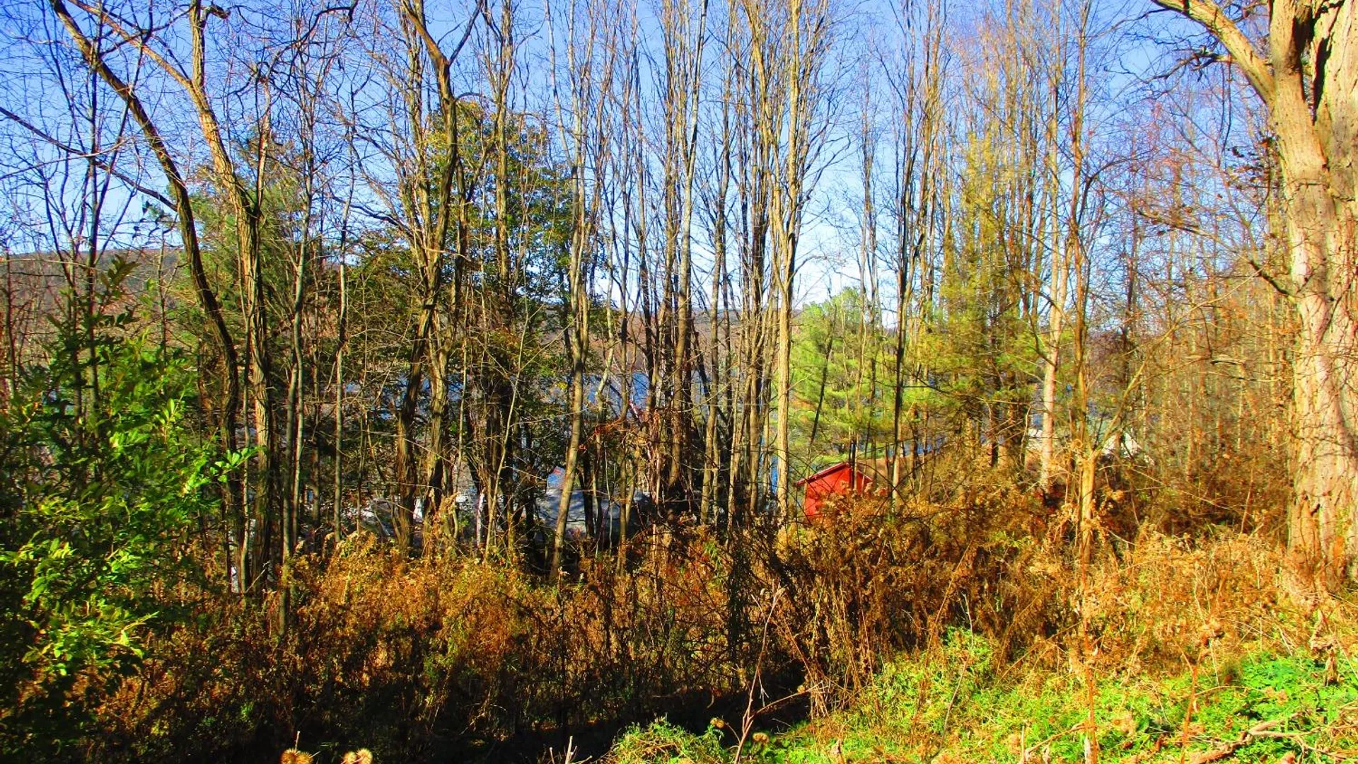 Property at 0 County Highway 31, Middlefield, NY 13326 11