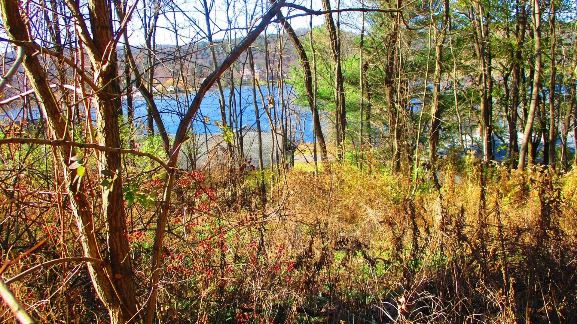 Property at 0 County Highway 31, Middlefield, NY 13326 12