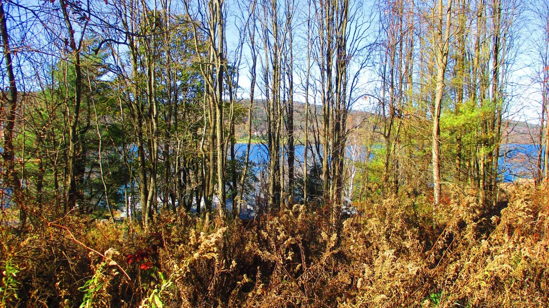 Property at 0 County Highway 31, Middlefield, NY 13326 14