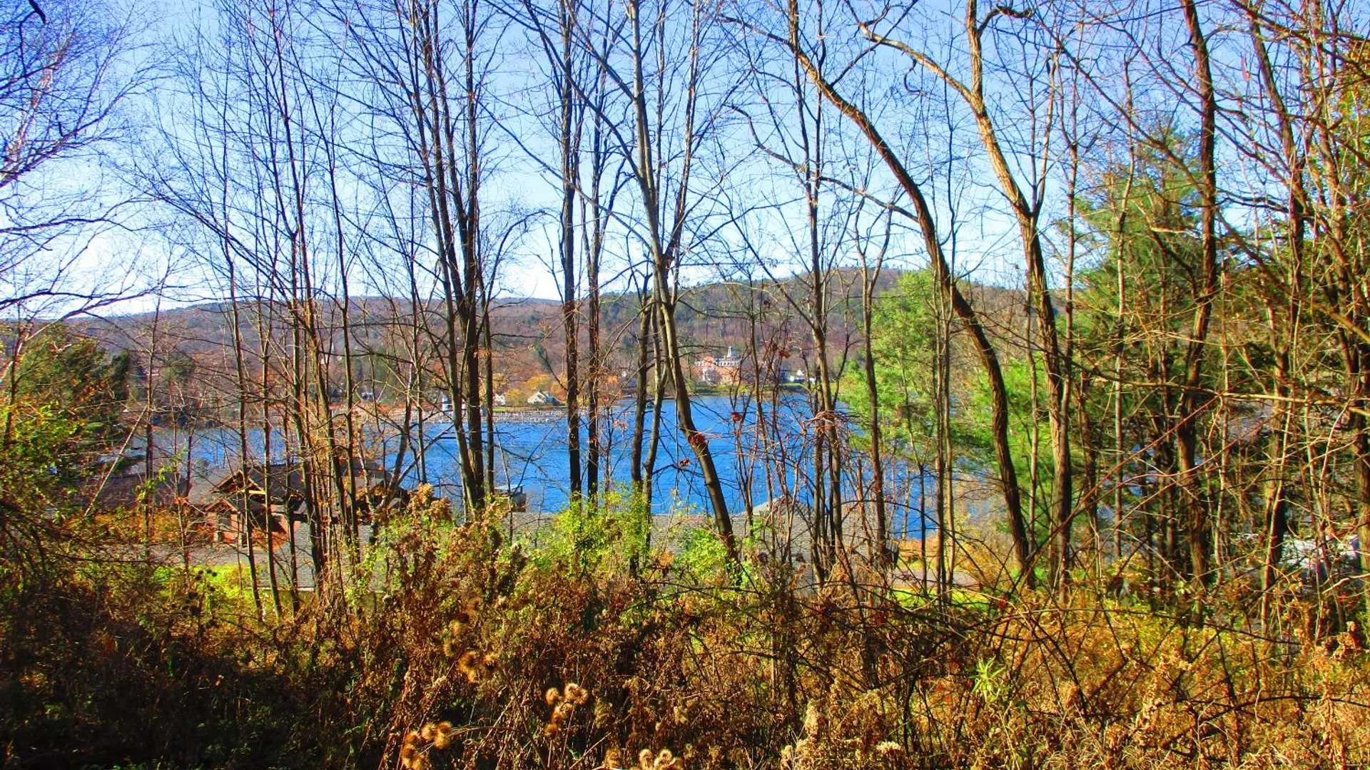 Property at 0 County Highway 31, Middlefield, NY 13326 15