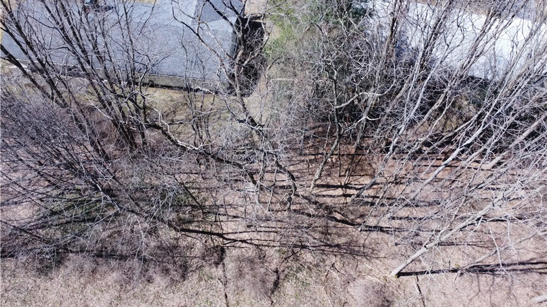 Property at 0 County Highway 31, Middlefield, NY 13326 16