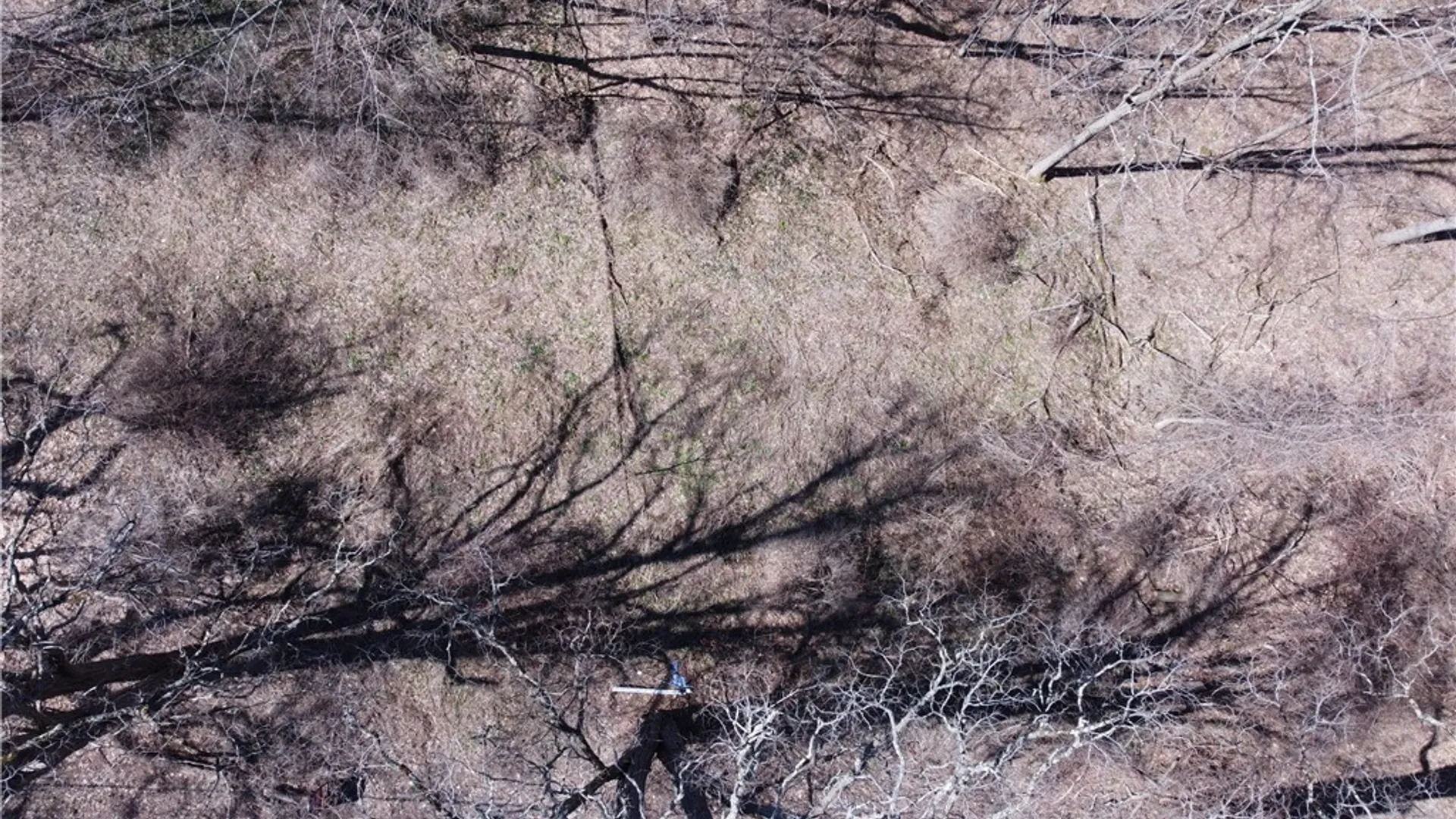 Property at 0 County Highway 31, Middlefield, NY 13326 6