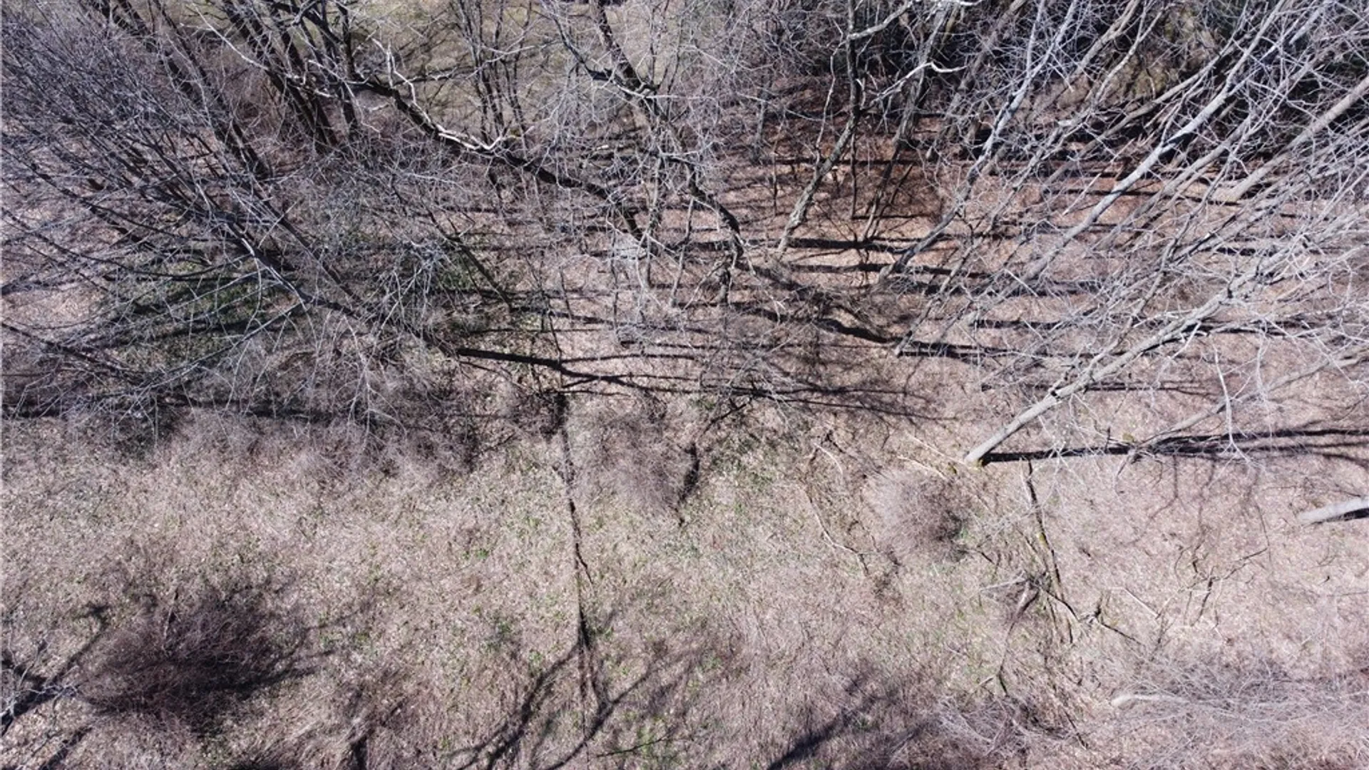 Property at 0 County Highway 31, Middlefield, NY 13326 9