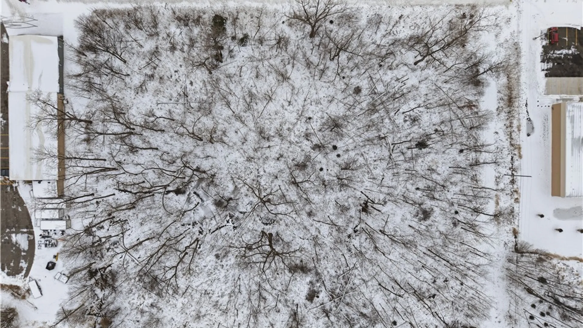 Property at 5047 Transit Road, Lancaster, NY 14043 7