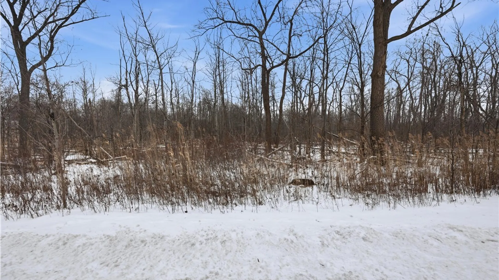 Property at 5047 Transit Road, Lancaster, NY 14043 9