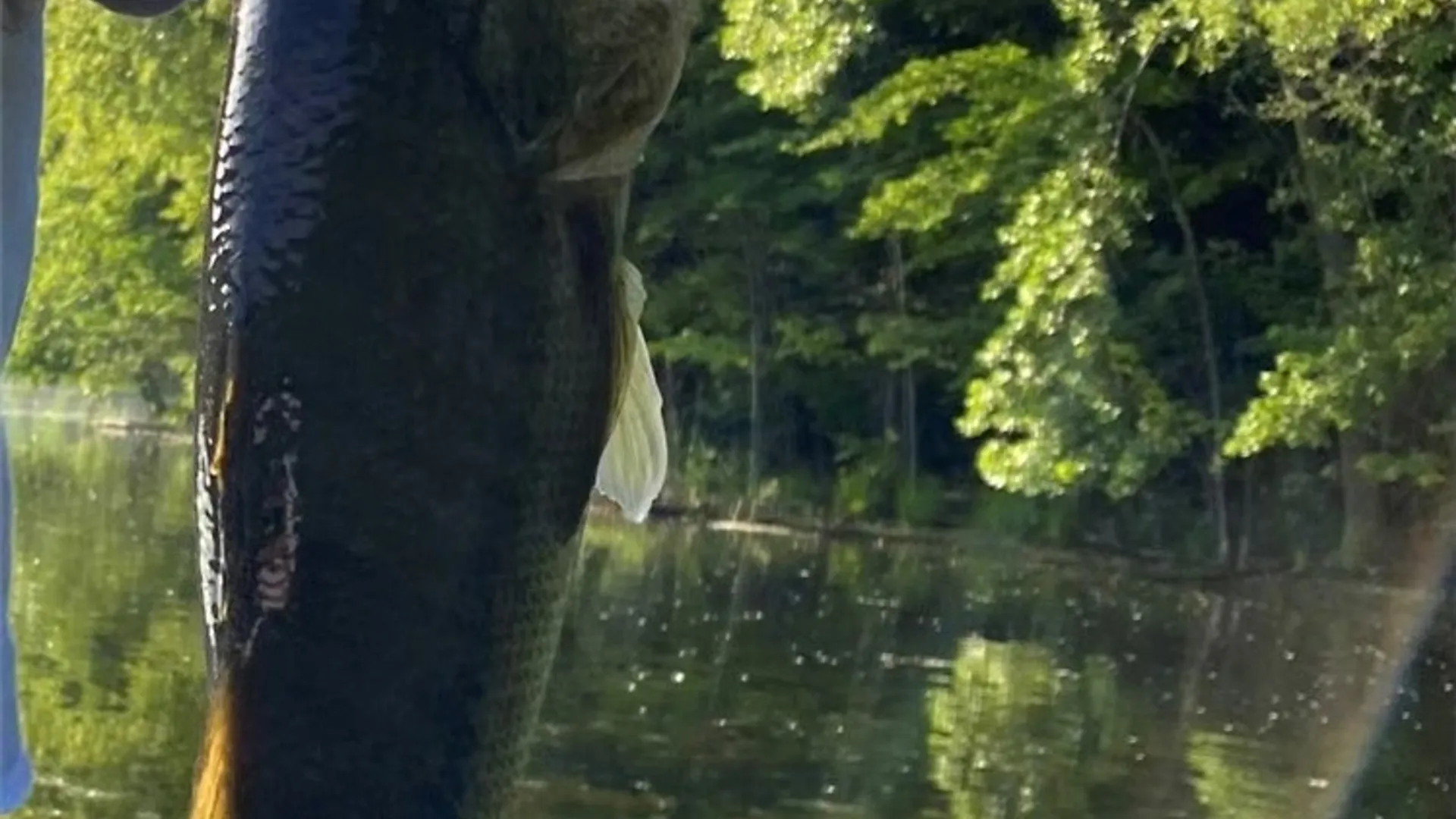 Property at 7557 Old Woods Road, Preble, NY 13141 11