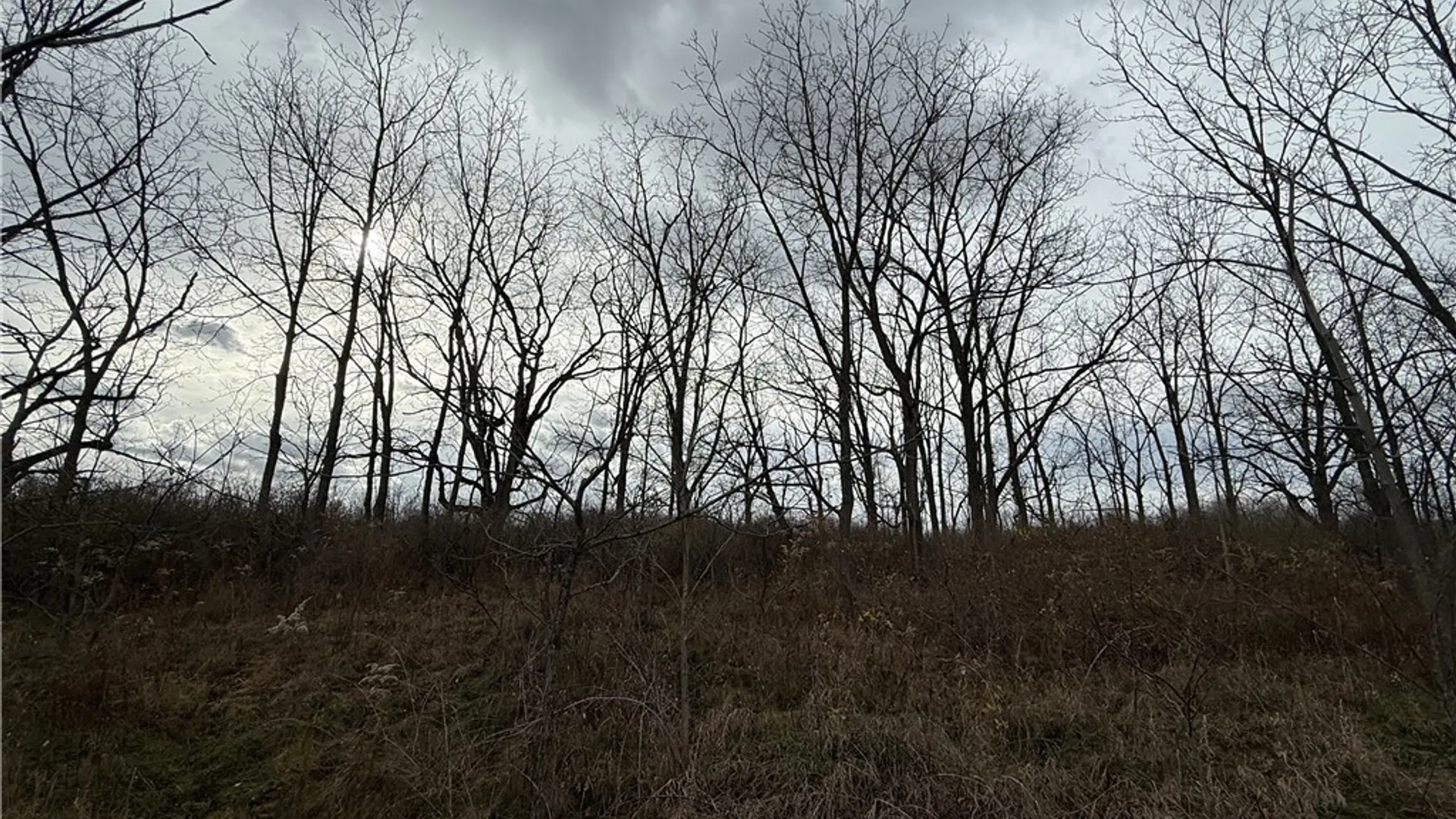 Property at Tucker Road, Enfield, NY 14886 10