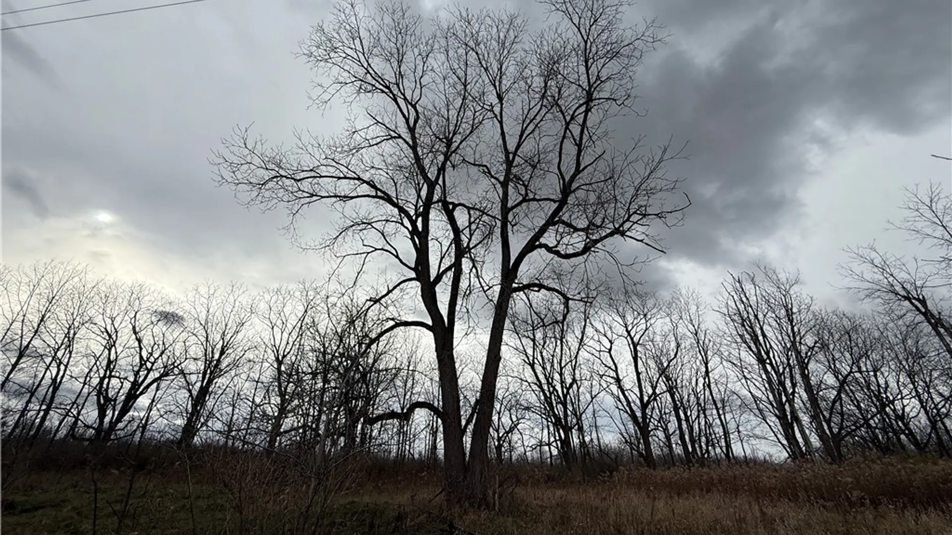 Property at Tucker Road, Enfield, NY 14886 11