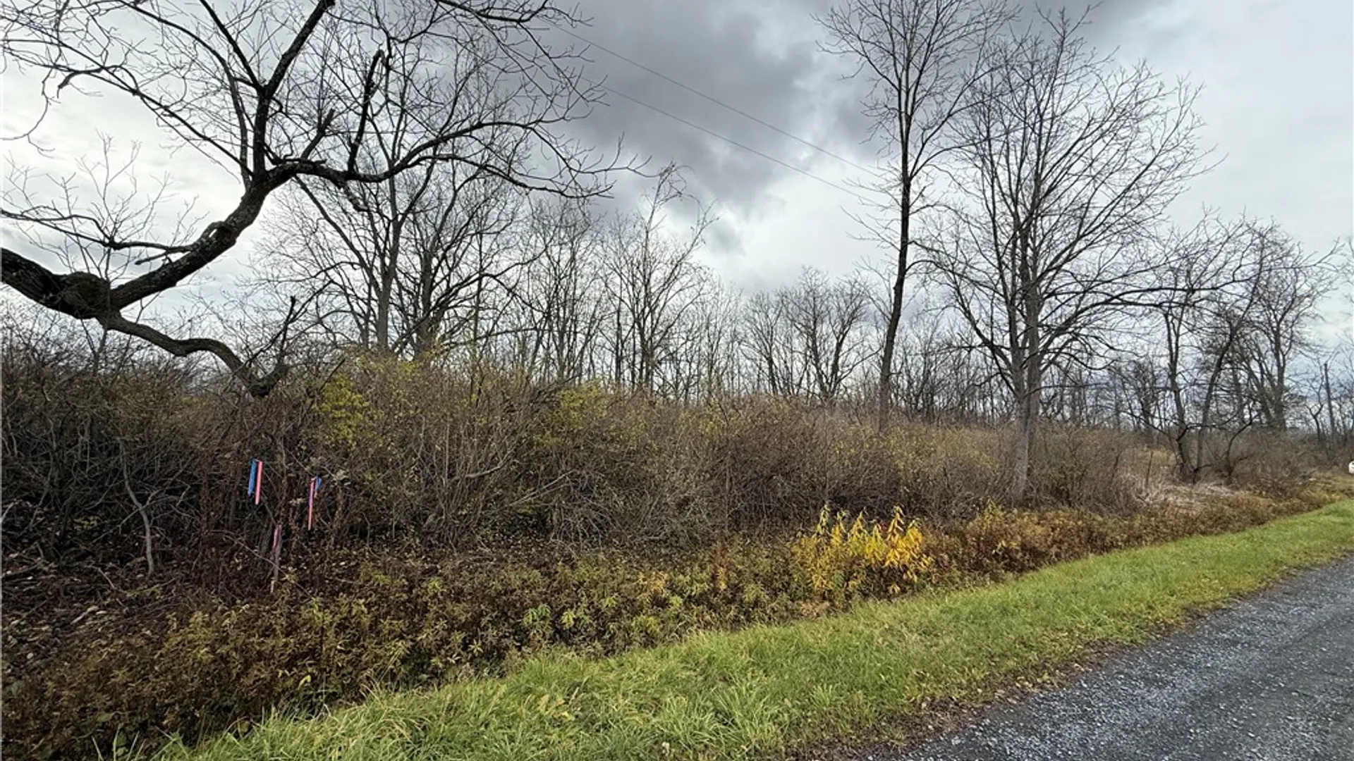 Property at Tucker Road, Enfield, NY 14886 12