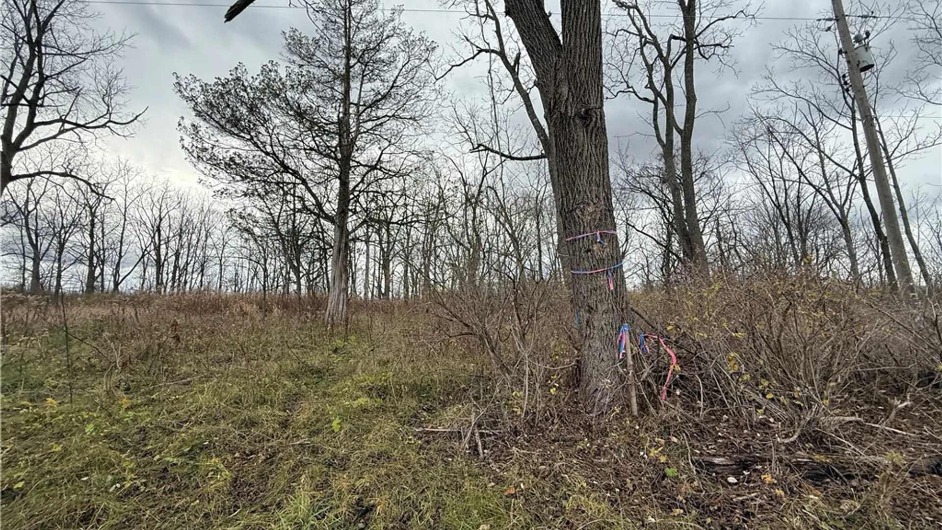 Property at Tucker Road, Enfield, NY 14886 13