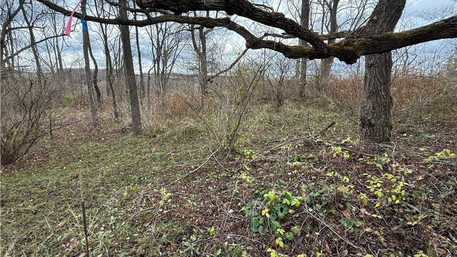 Property at Tucker Road, Enfield, NY 14886 14