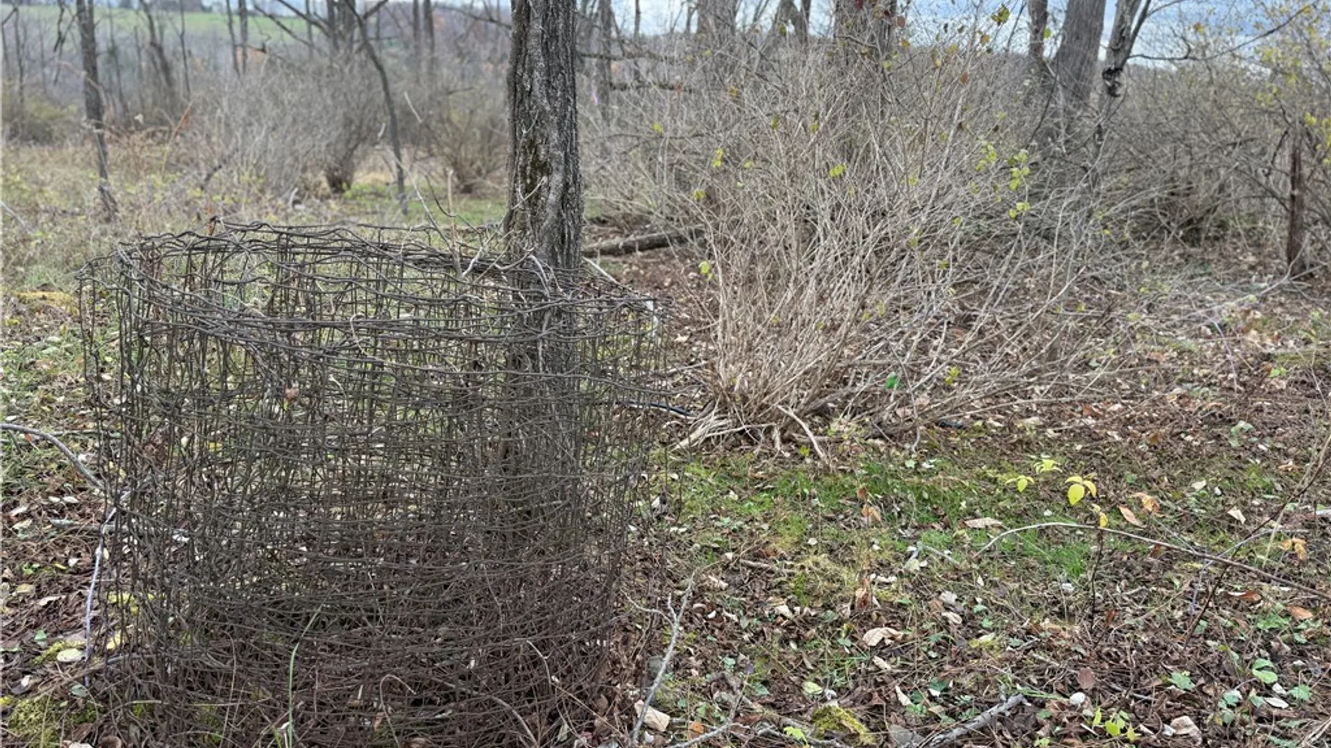 Property at Tucker Road, Enfield, NY 14886 15