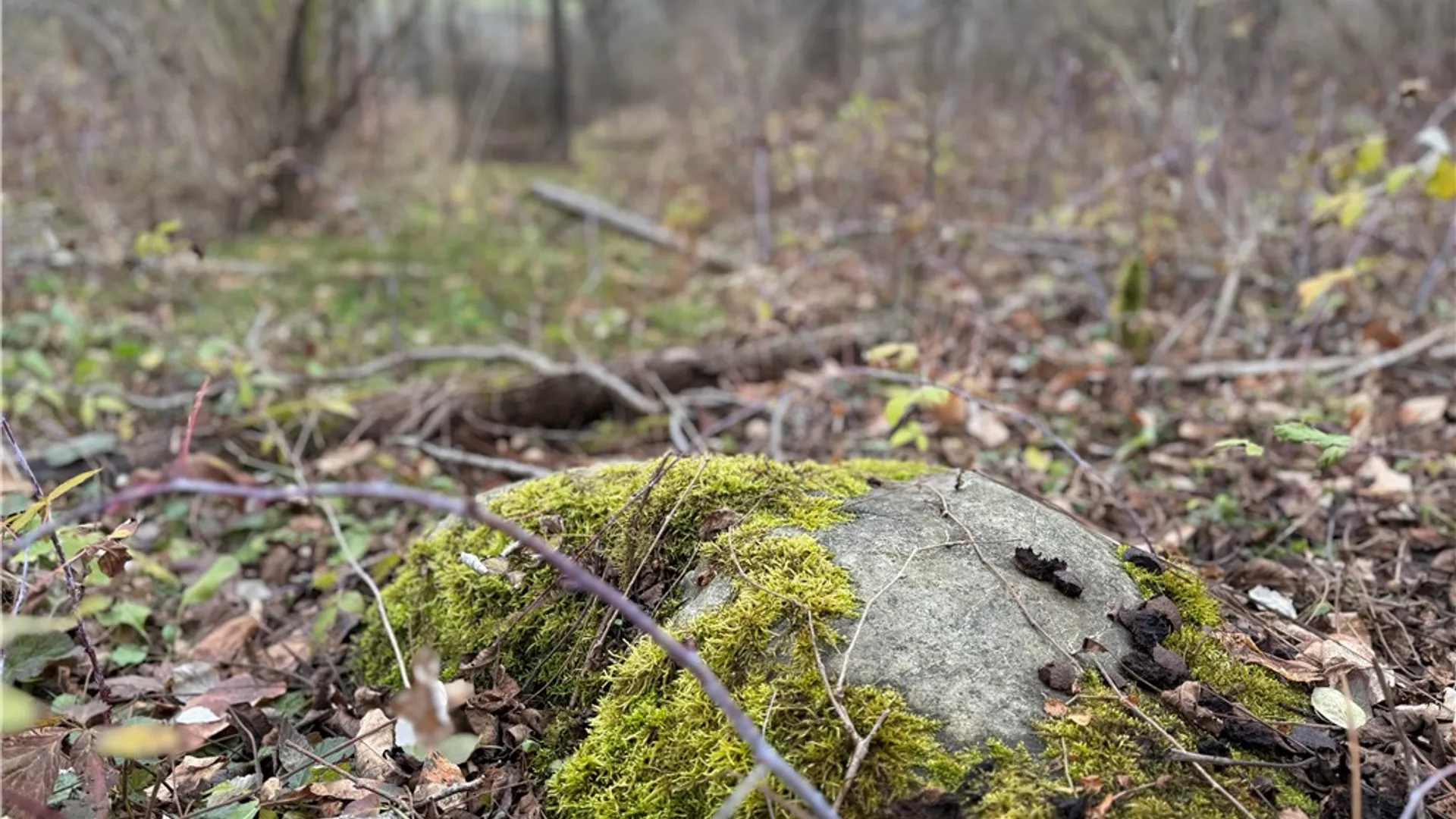 Property at Tucker Road, Enfield, NY 14886 16