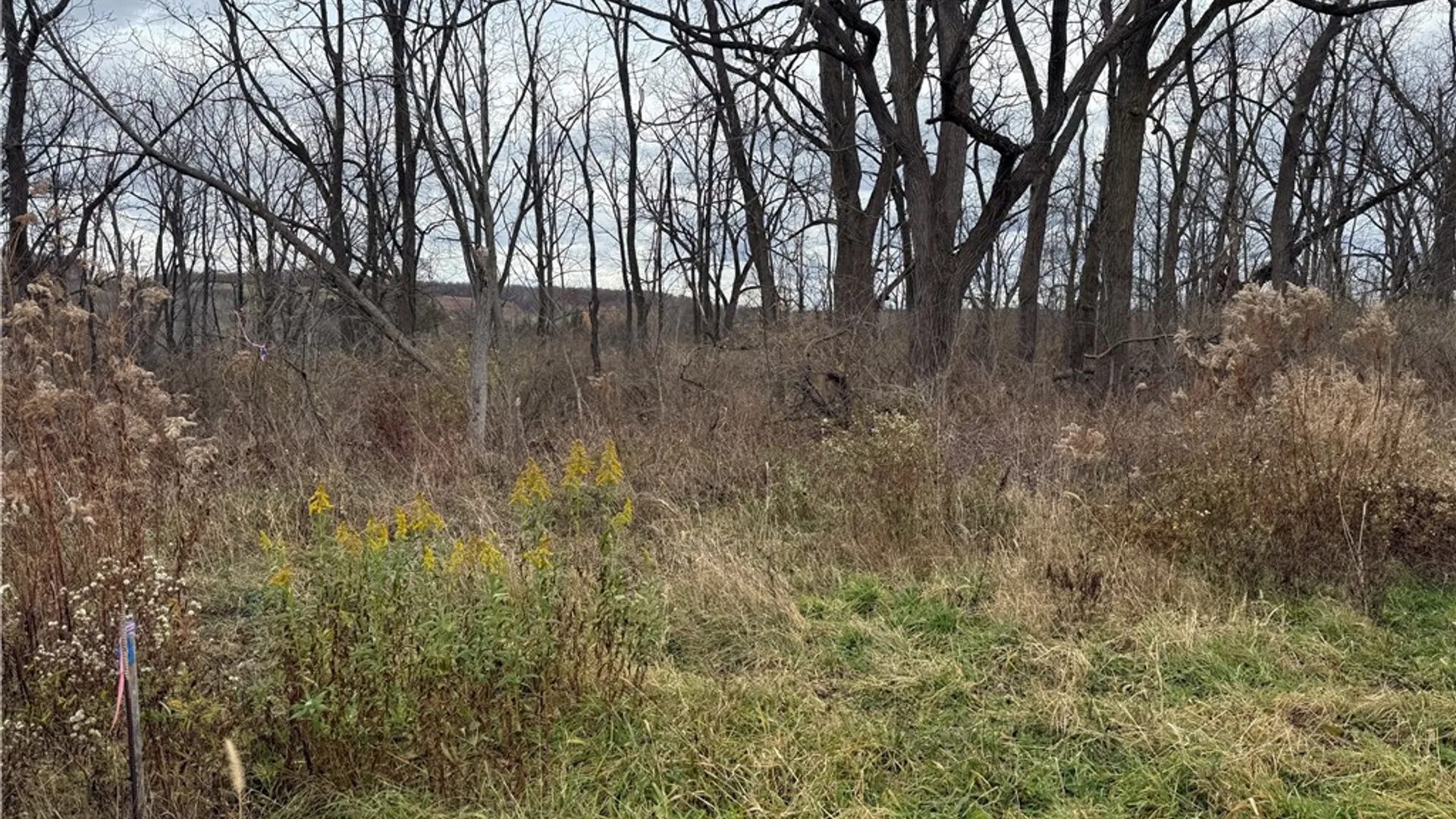 Property at Tucker Road, Enfield, NY 14886 18