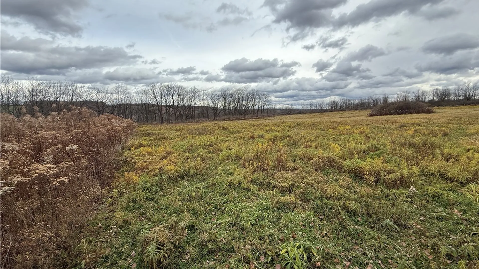 Property at Tucker Road, Enfield, NY 14886 19