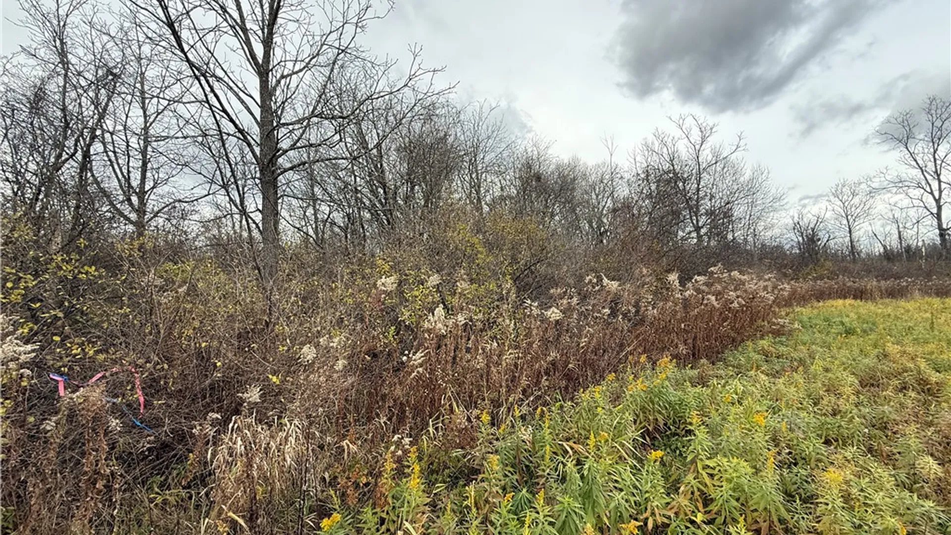 Property at Tucker Road, Enfield, NY 14886 2