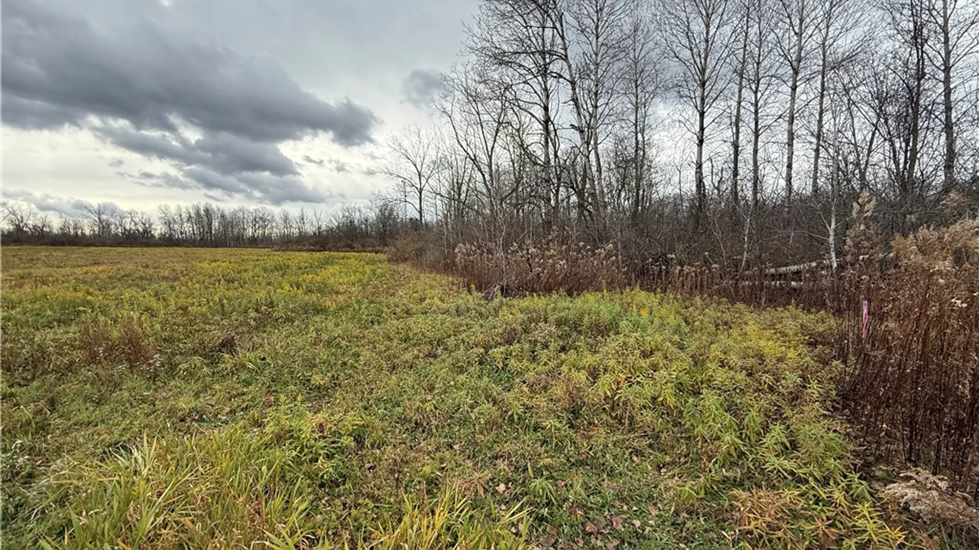 Property at Tucker Road, Enfield, NY 14886 20