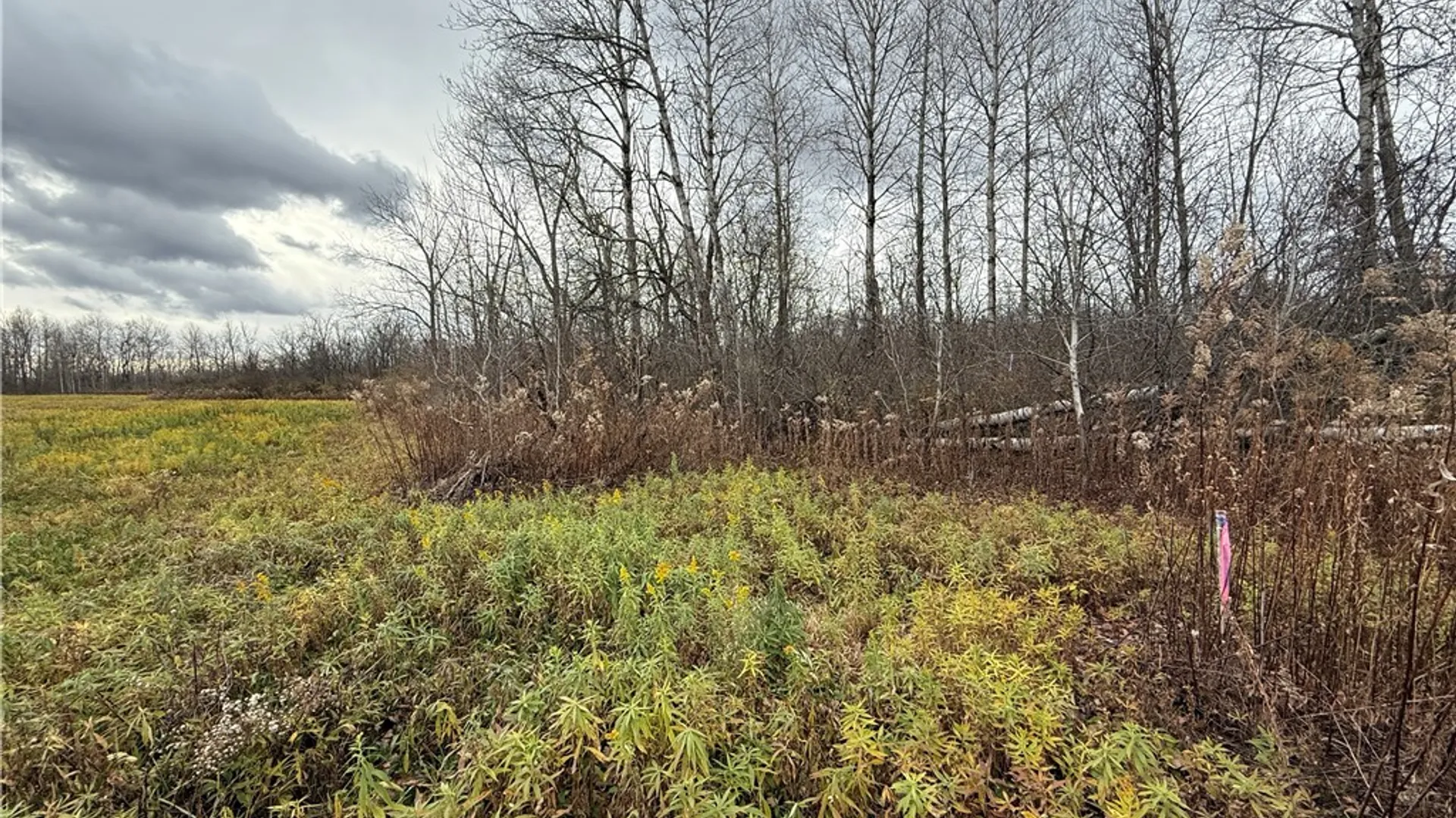 Property at Tucker Road, Enfield, NY 14886 21