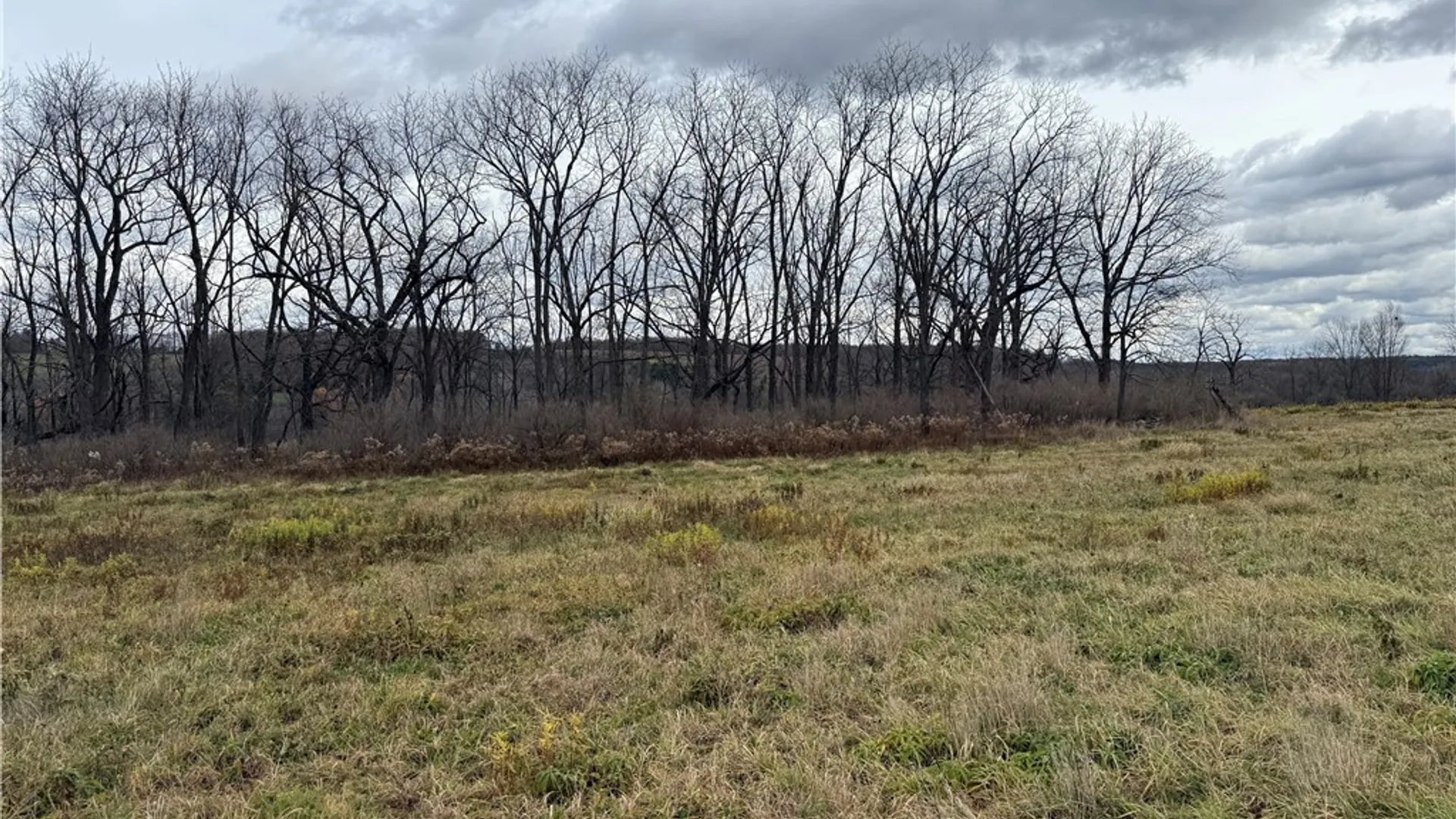 Property at Tucker Road, Enfield, NY 14886 22