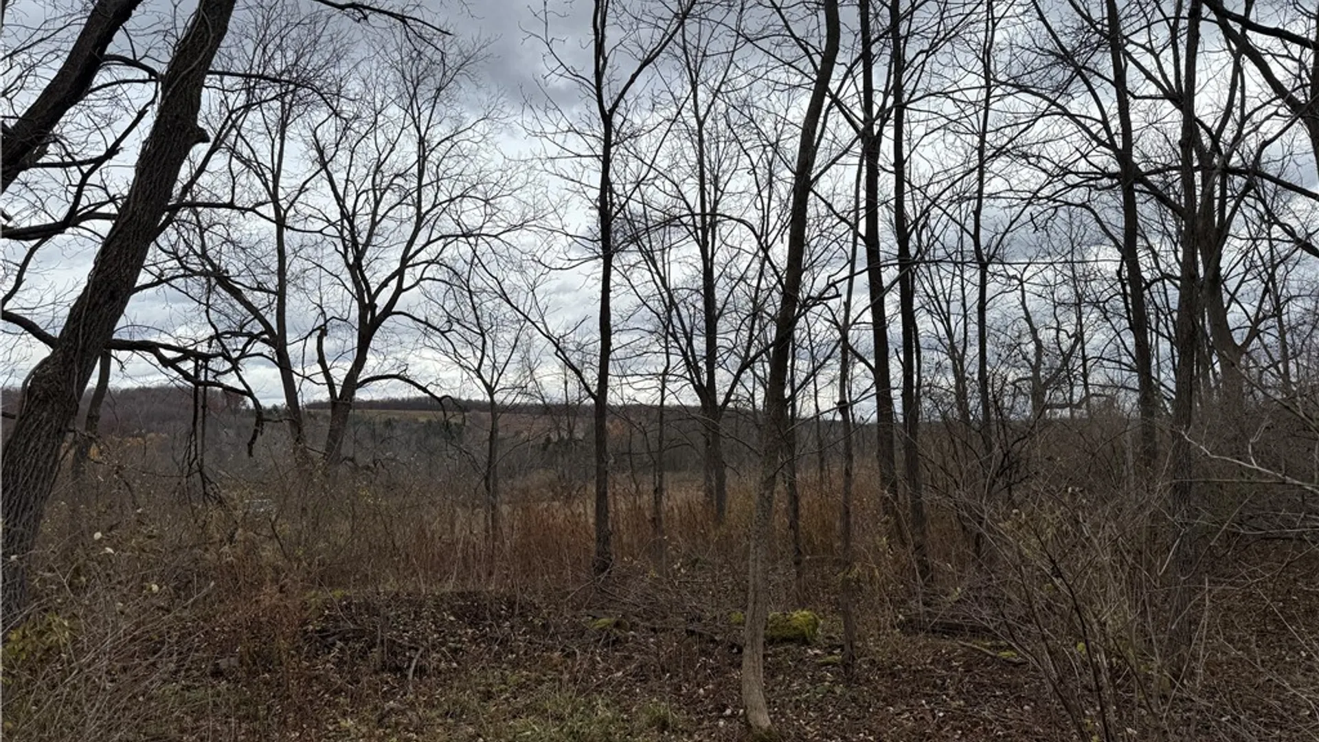 Property at Tucker Road, Enfield, NY 14886 24