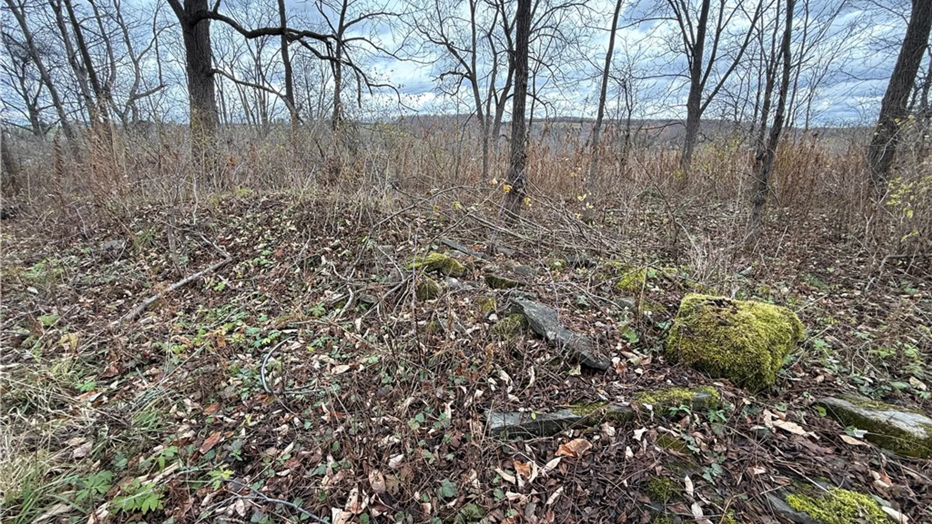 Property at Tucker Road, Enfield, NY 14886 25