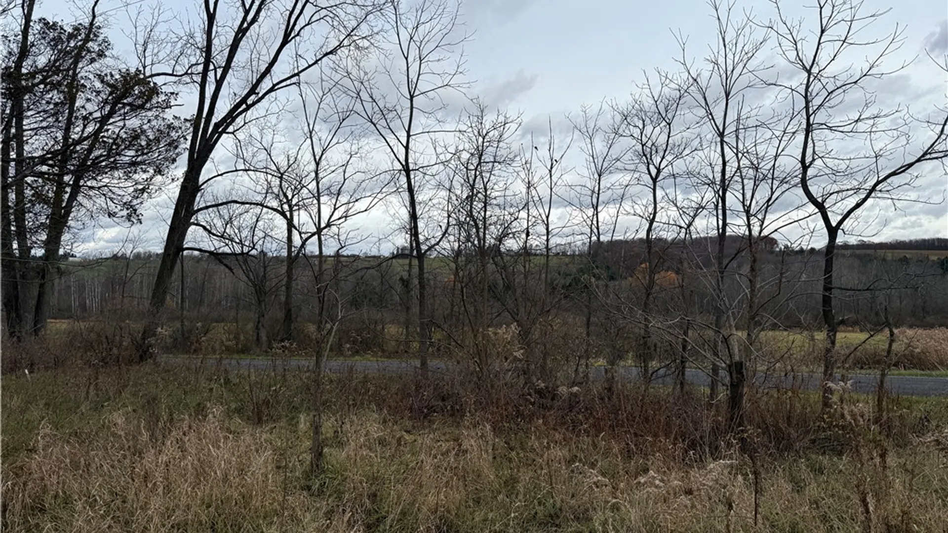 Property at Tucker Road, Enfield, NY 14886 26