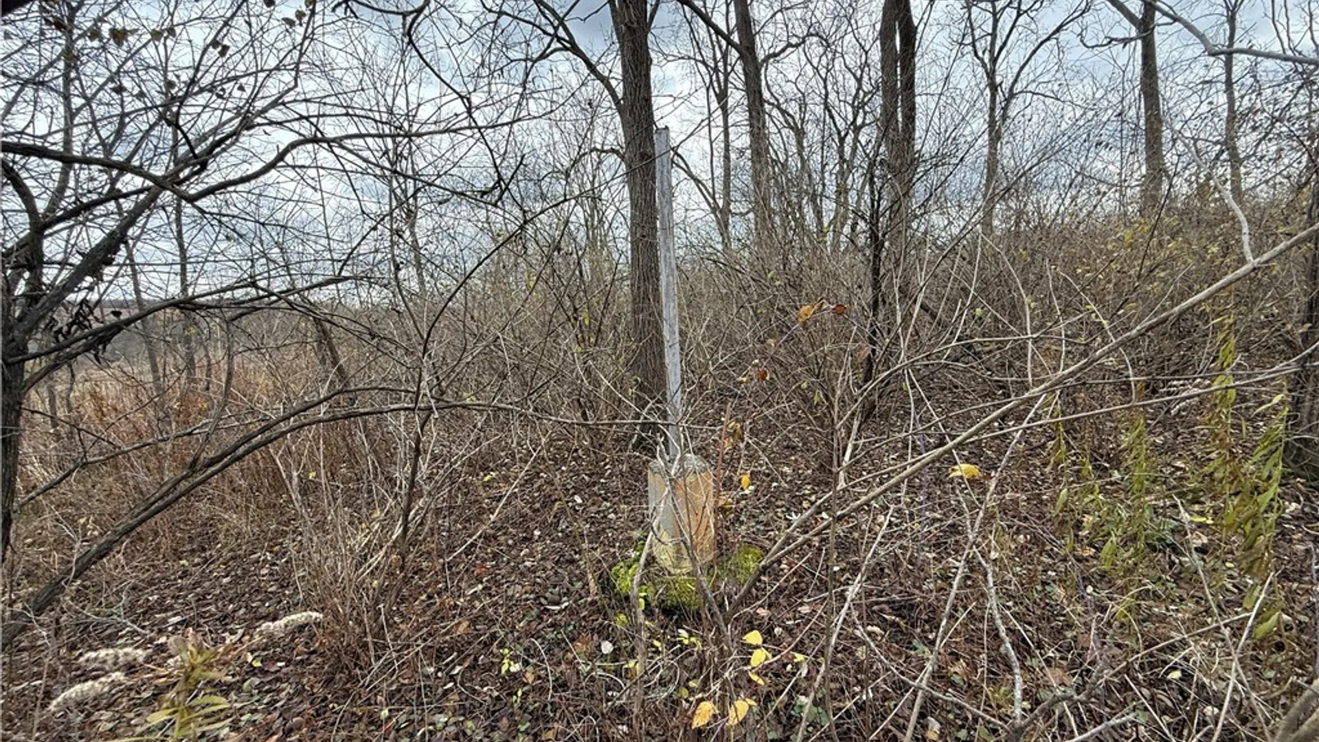 Property at Tucker Road, Enfield, NY 14886 28