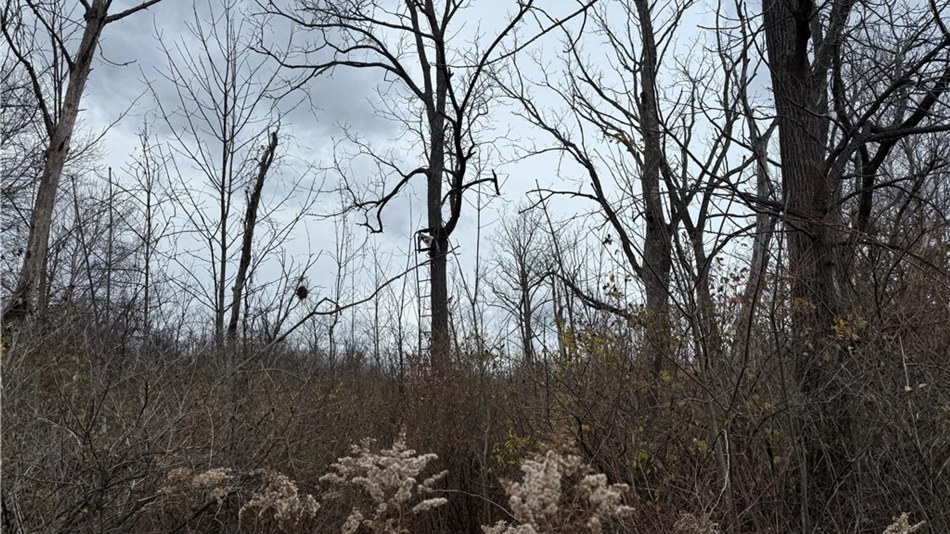 Property at Tucker Road, Enfield, NY 14886 30