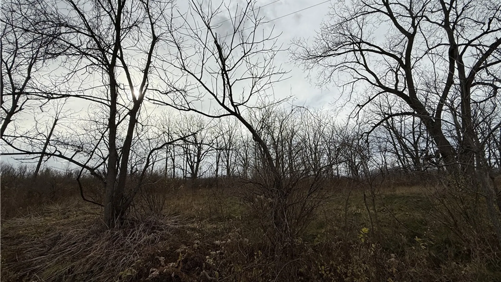 Property at Tucker Road, Enfield, NY 14886 5