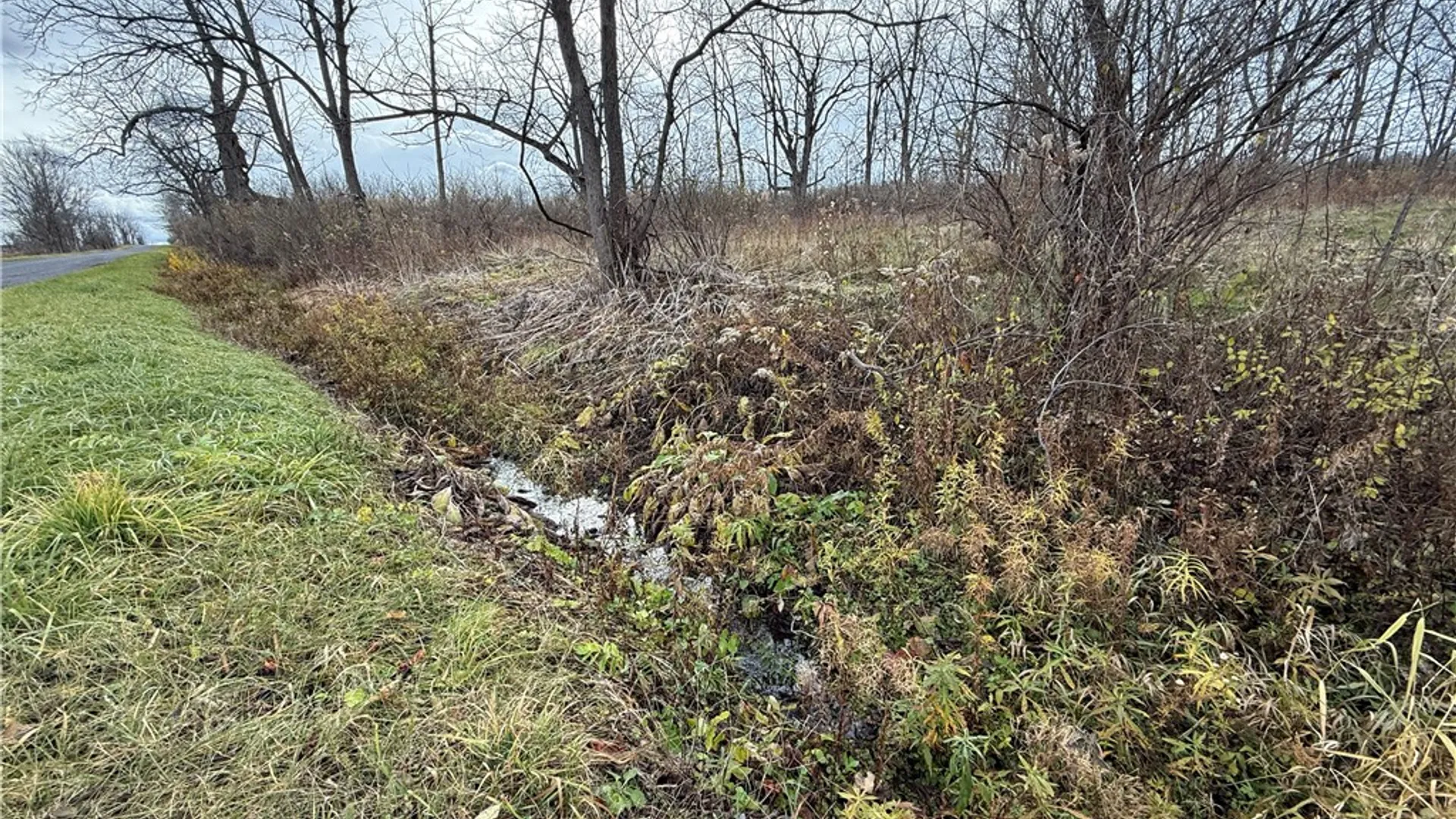 Property at Tucker Road, Enfield, NY 14886 6