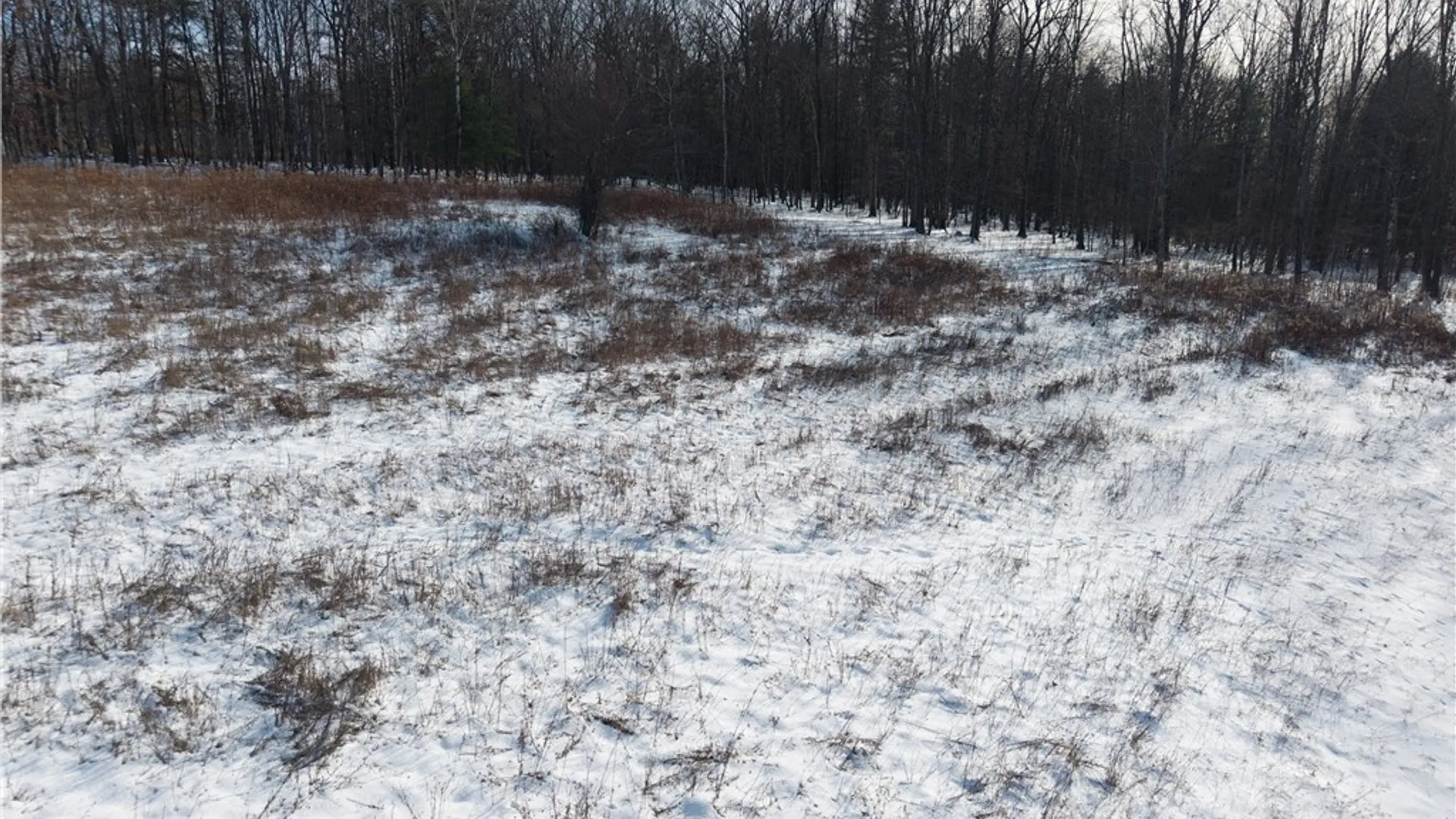 Property at 356 Acme Road, Barton, NY 14892 46