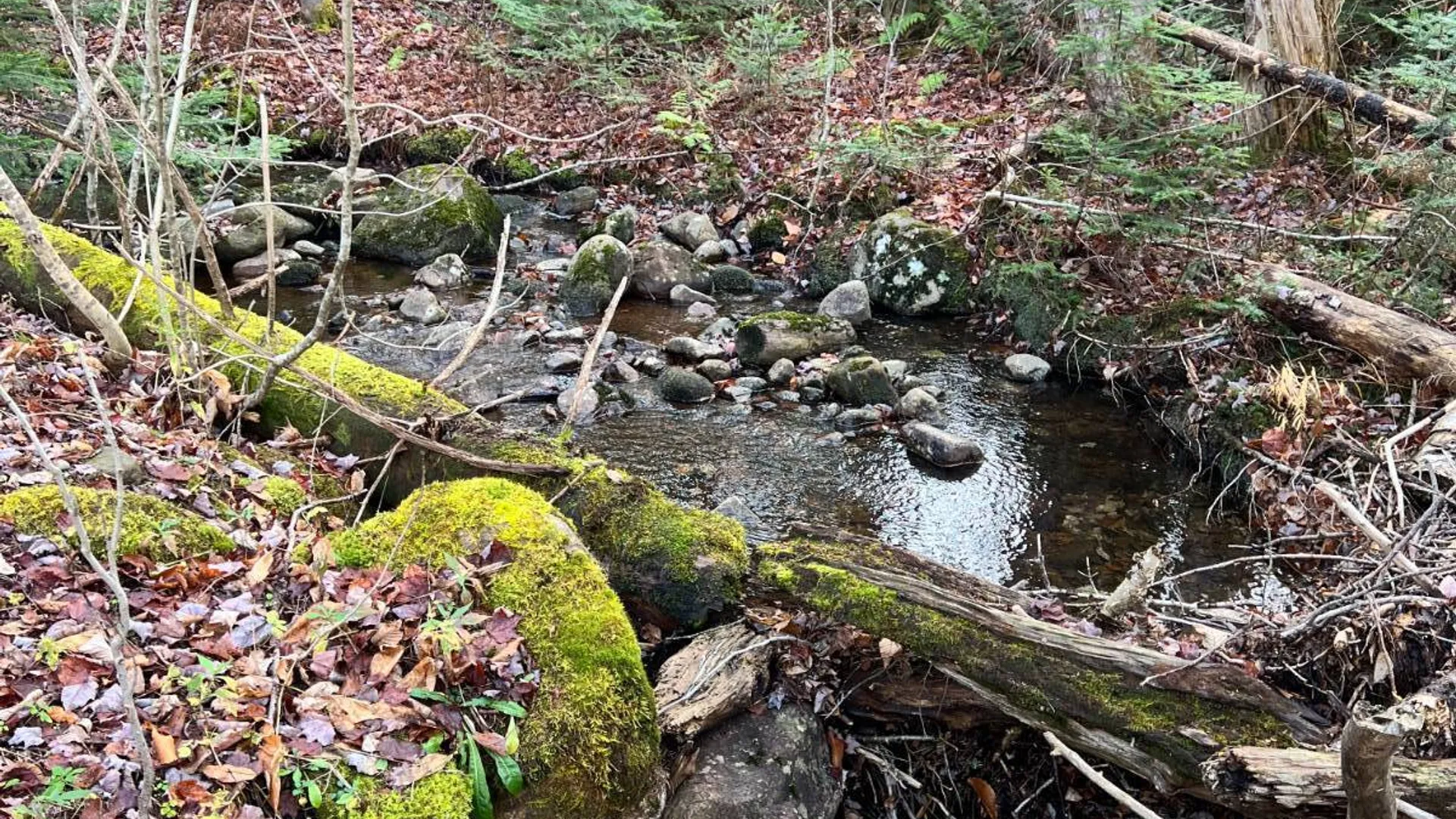 Property at 774 State Route 8 Rd, Hoffmeister, NY 13353 13