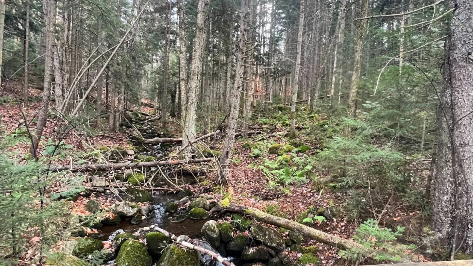 Property at 774 State Route 8 Rd, Hoffmeister, NY 13353 14