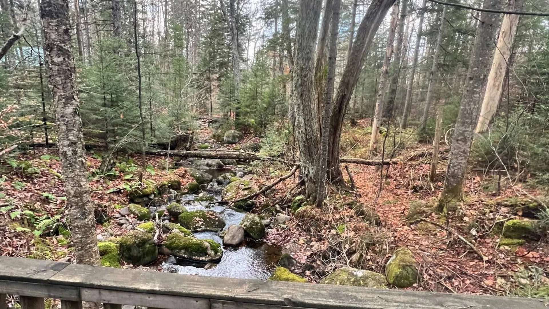 Property at 774 State Route 8 Rd, Hoffmeister, NY 13353 15