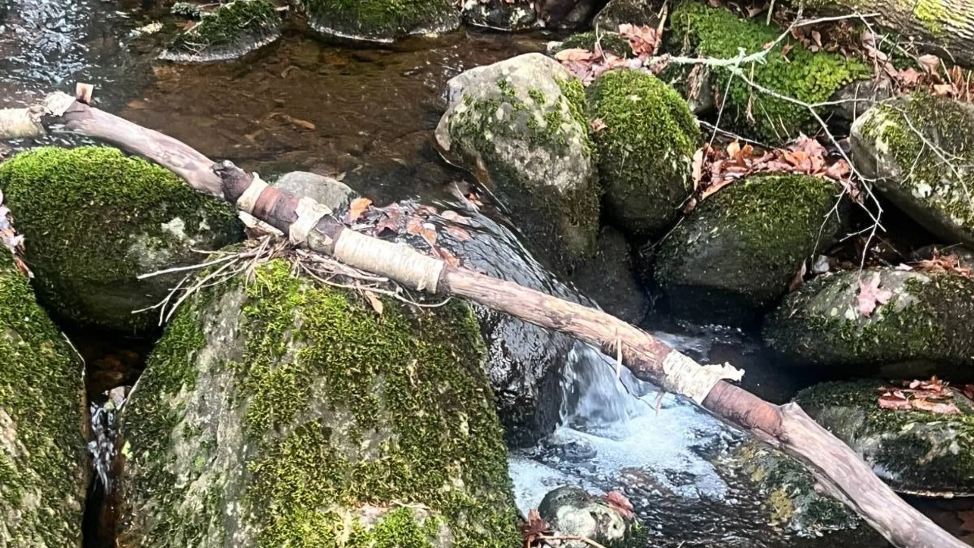 Property at 774 State Route 8 Rd, Hoffmeister, NY 13353 16