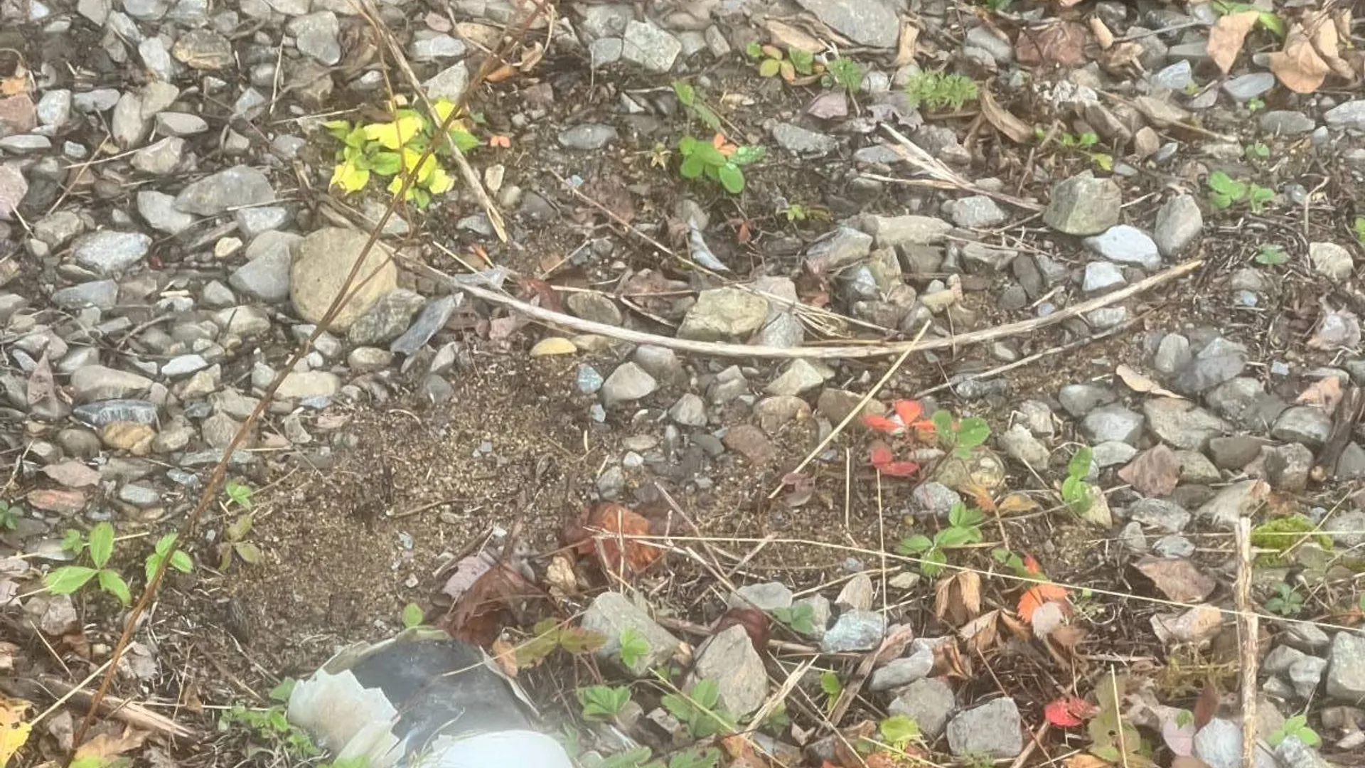 Property at 774 State Route 8 Rd, Hoffmeister, NY 13353 7