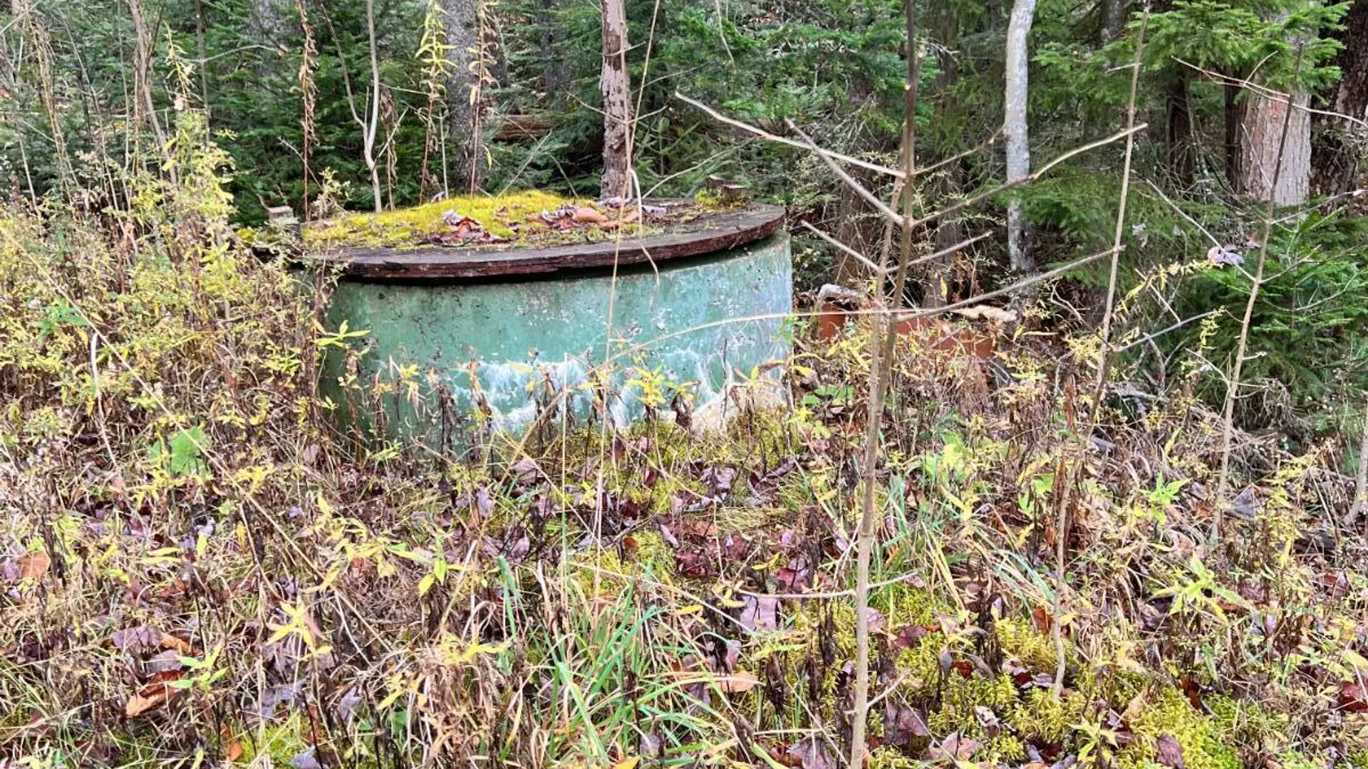 Property at 774 State Route 8 Rd, Hoffmeister, NY 13353 8