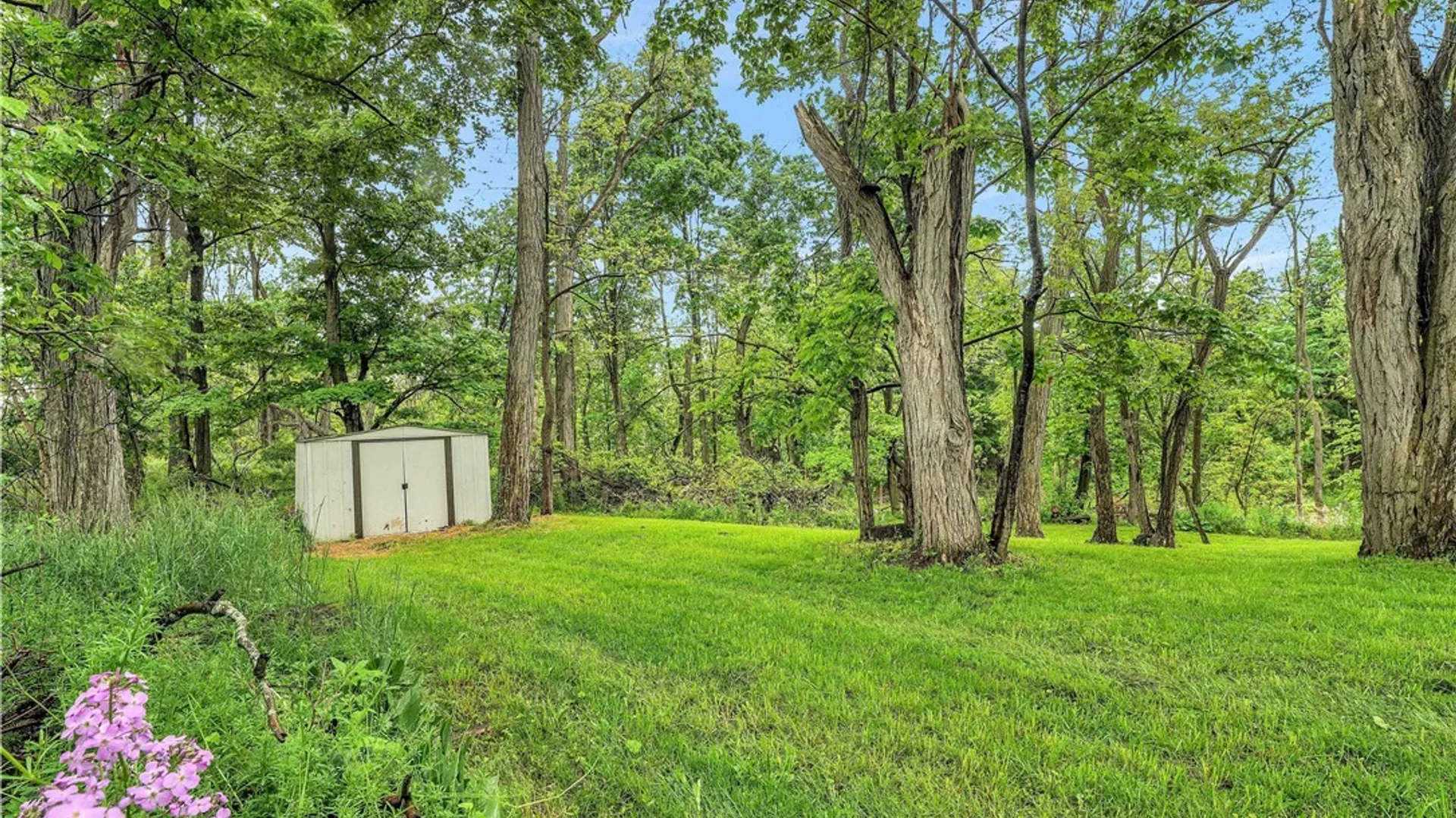 Property at 3651 Livonia Center Road, Livonia, NY 14487 37