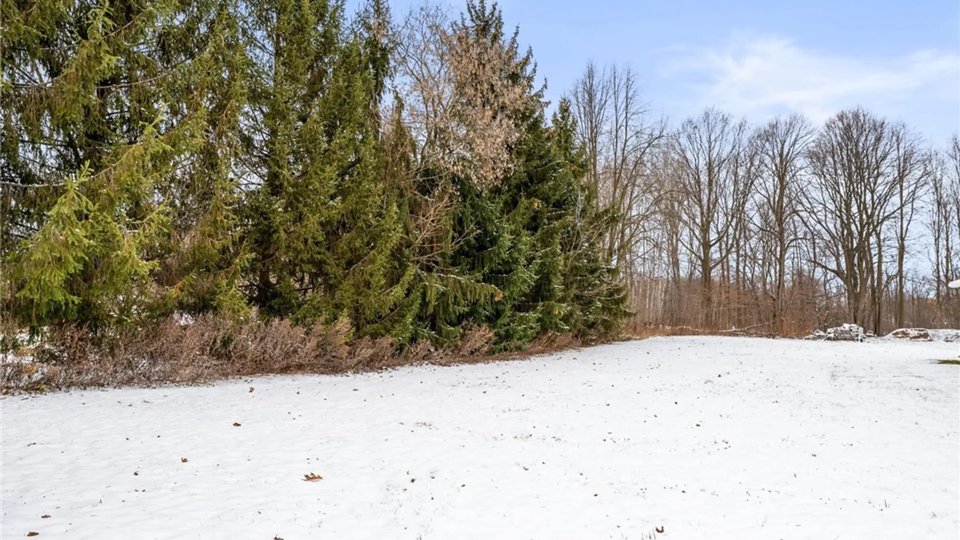 Property at 3237 Fowlerville Rd, Caledonia, NY 14423 12