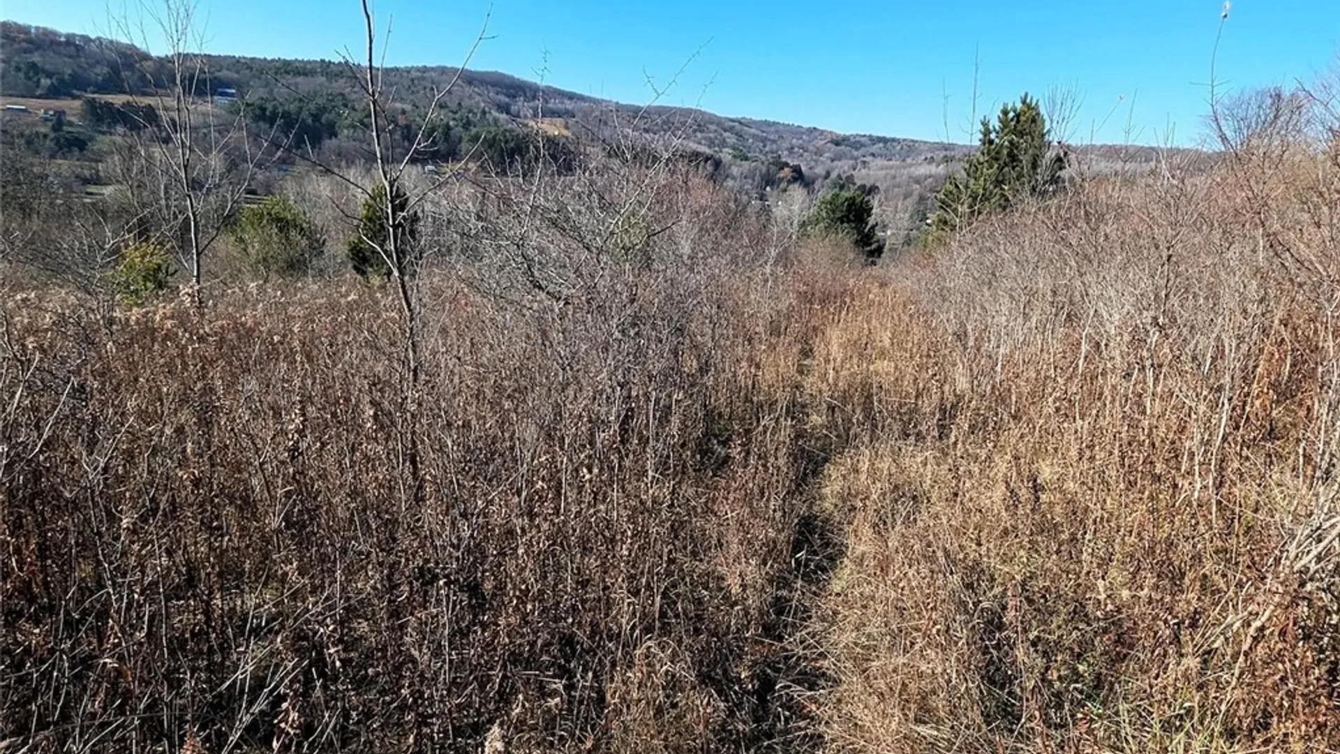 Property at Two Rod Road, Urbana, NY 14810 12