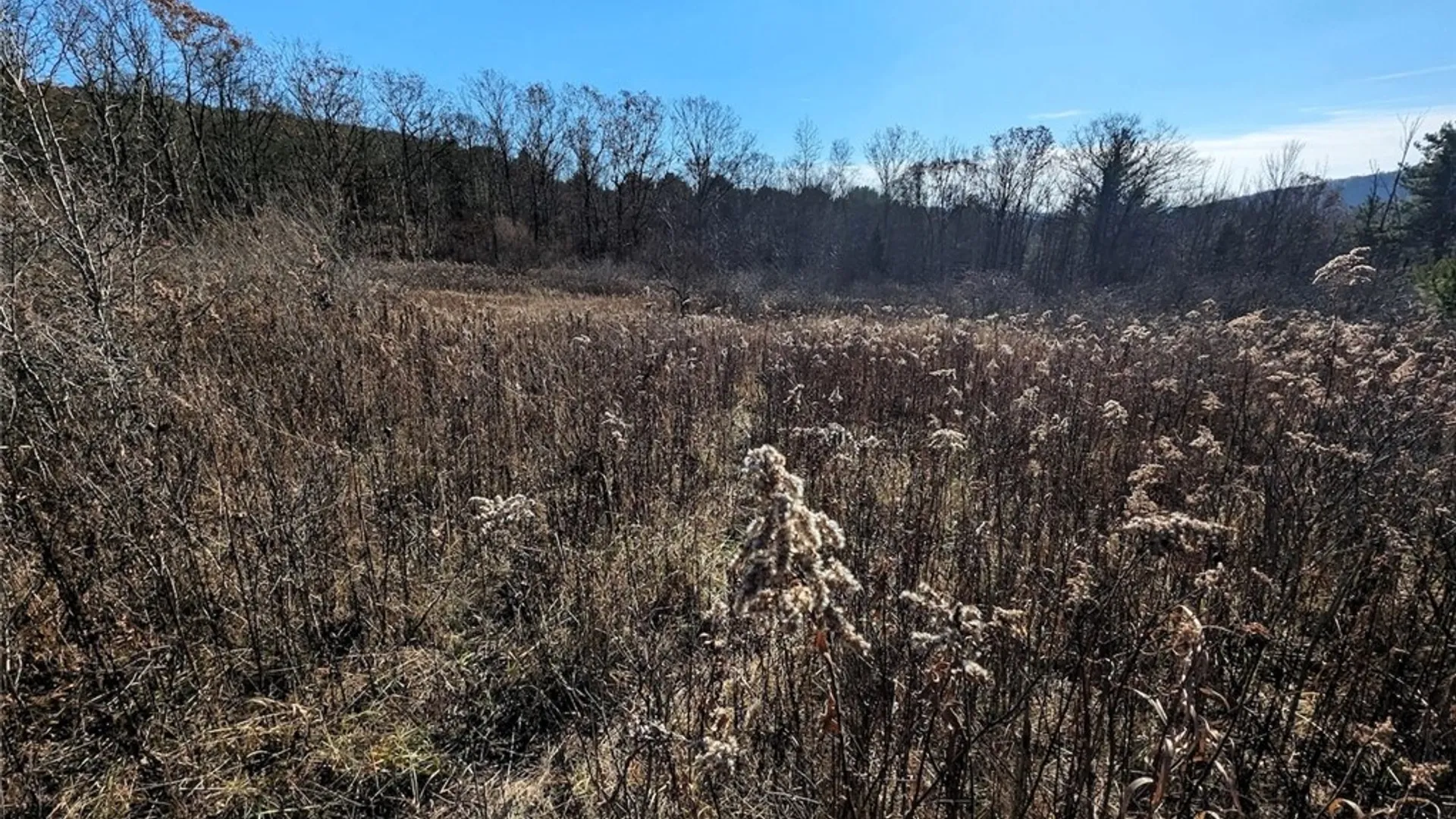 Property at Two Rod Road, Urbana, NY 14810 13