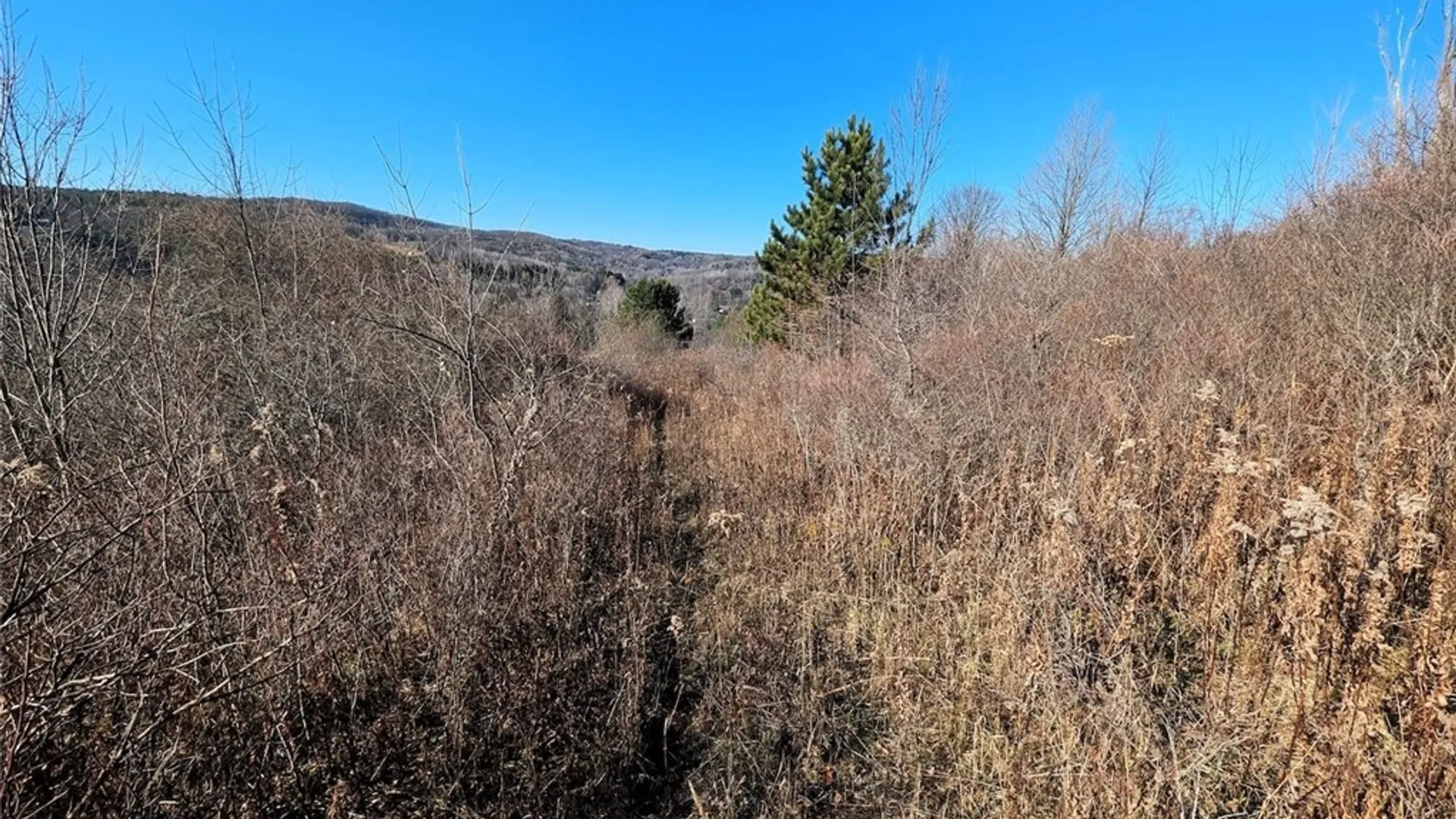 Property at Two Rod Road, Urbana, NY 14810 16