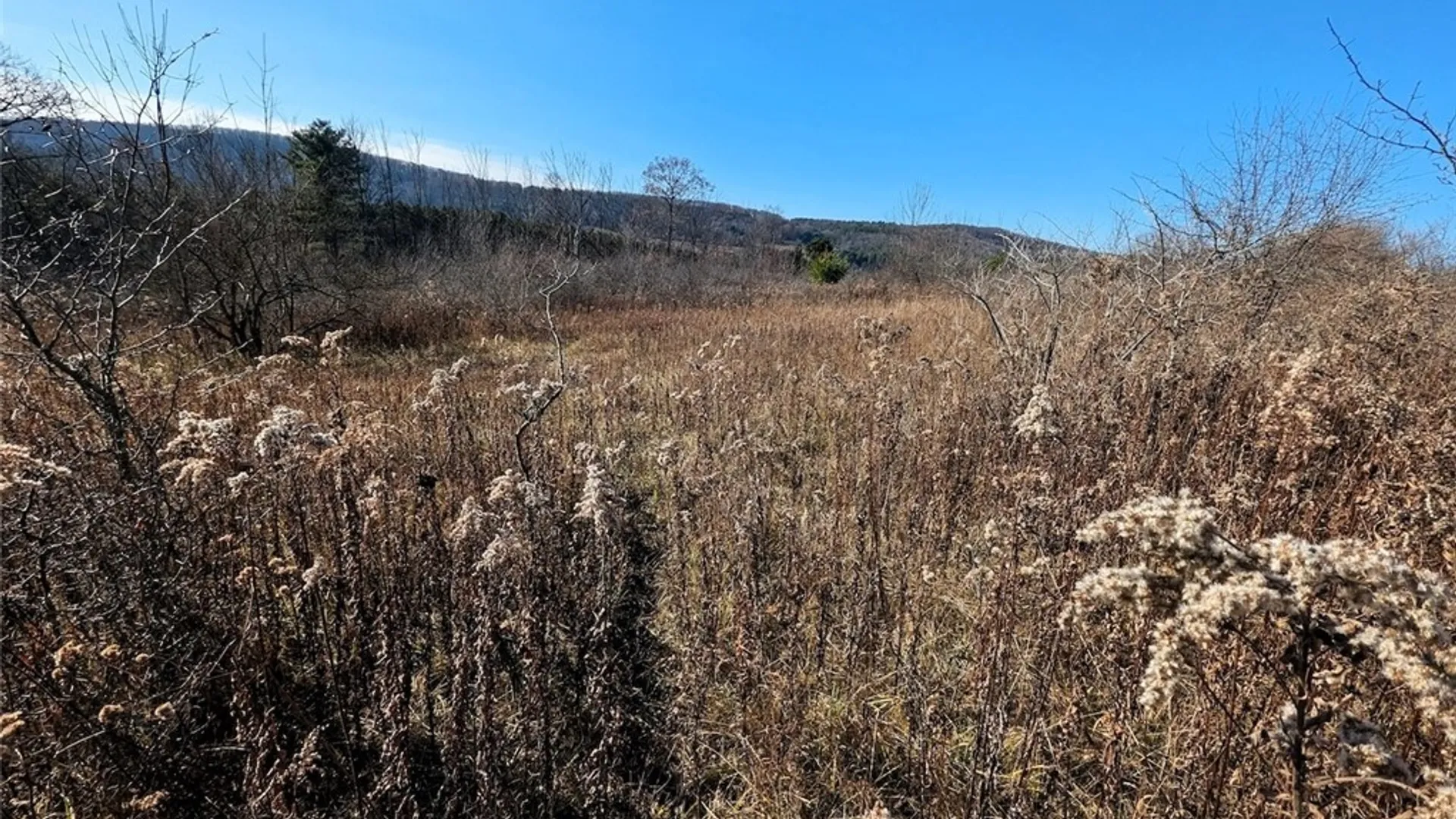 Property at Two Rod Road, Urbana, NY 14810 17