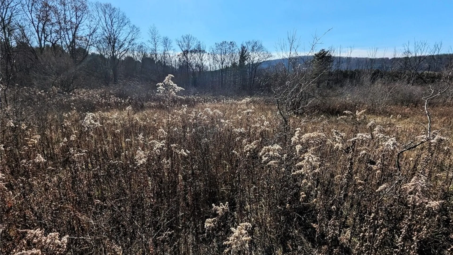 Property at Two Rod Road, Urbana, NY 14810 18