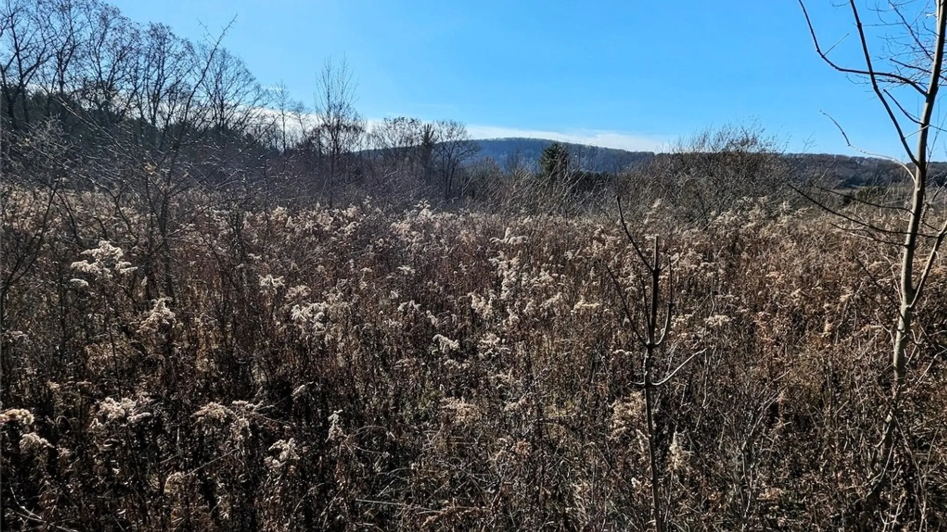 Property at Two Rod Road, Urbana, NY 14810 19