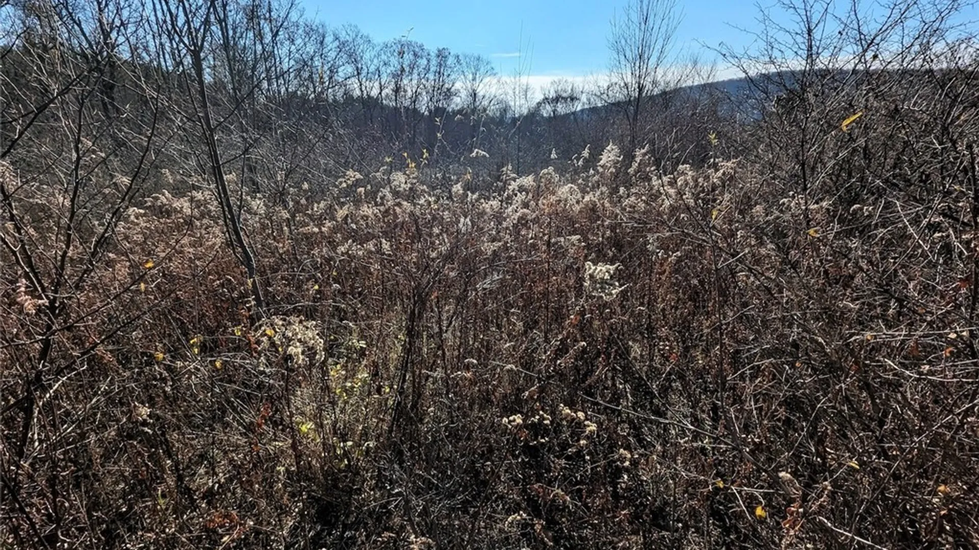 Property at Two Rod Road, Urbana, NY 14810 20