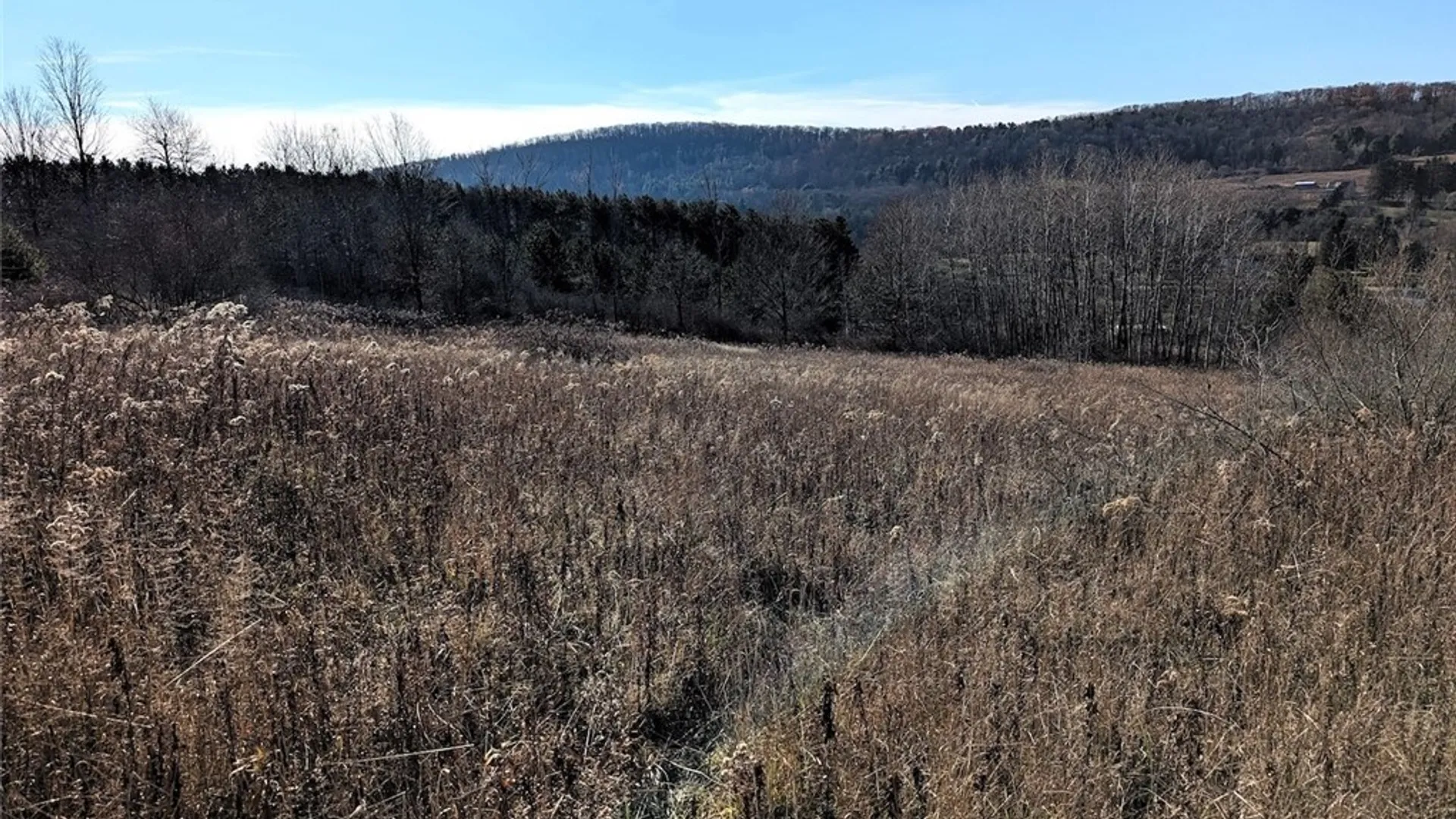 Property at Two Rod Road, Urbana, NY 14810 21